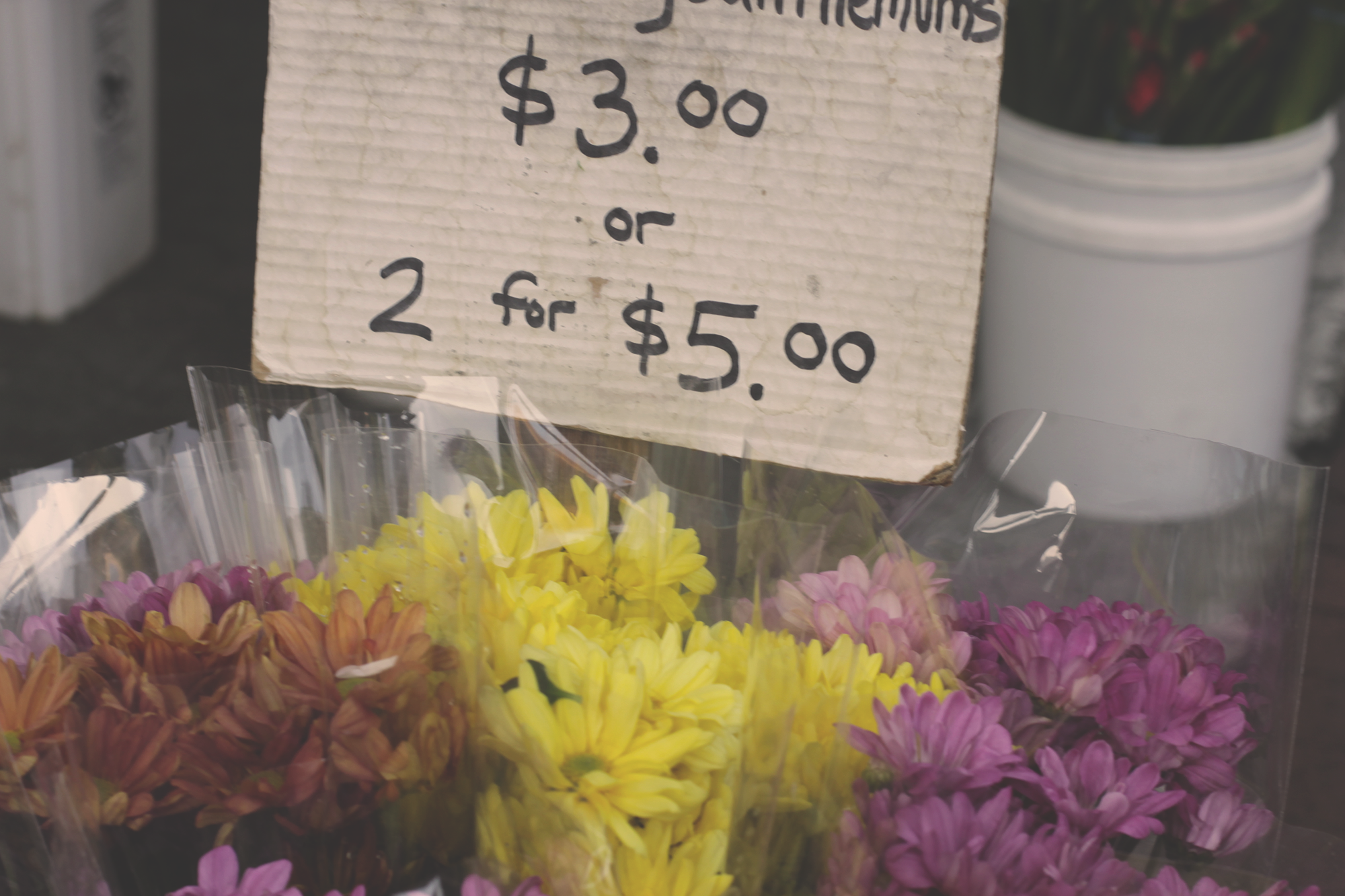 FlowerPrice.png