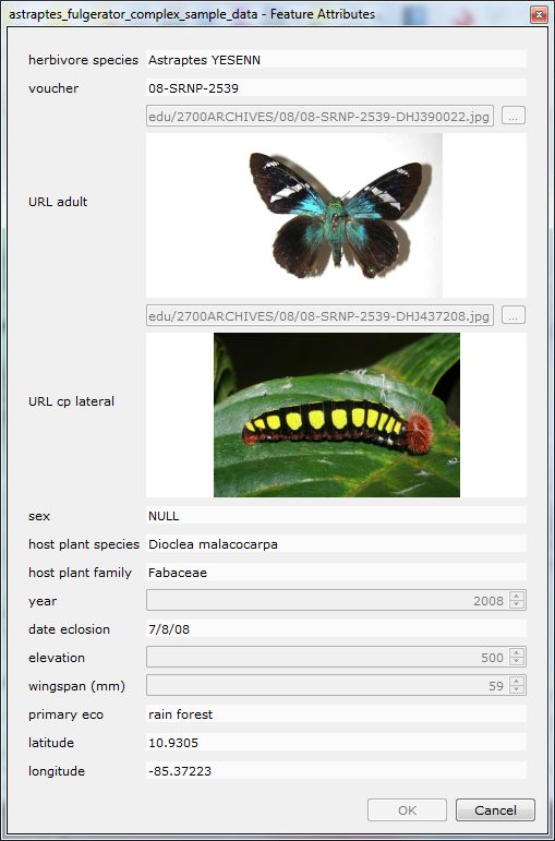 id_form.png