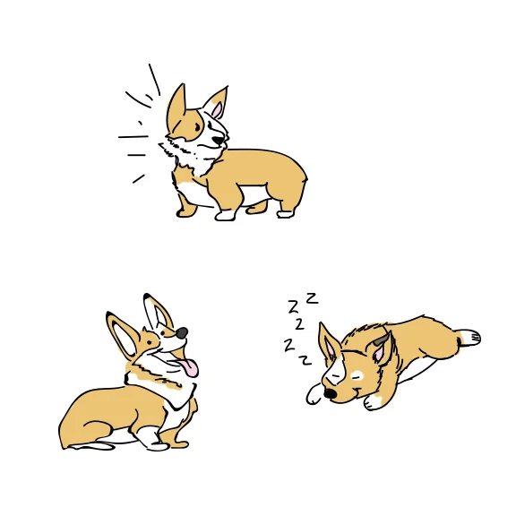 Corgi Style Pattern Design