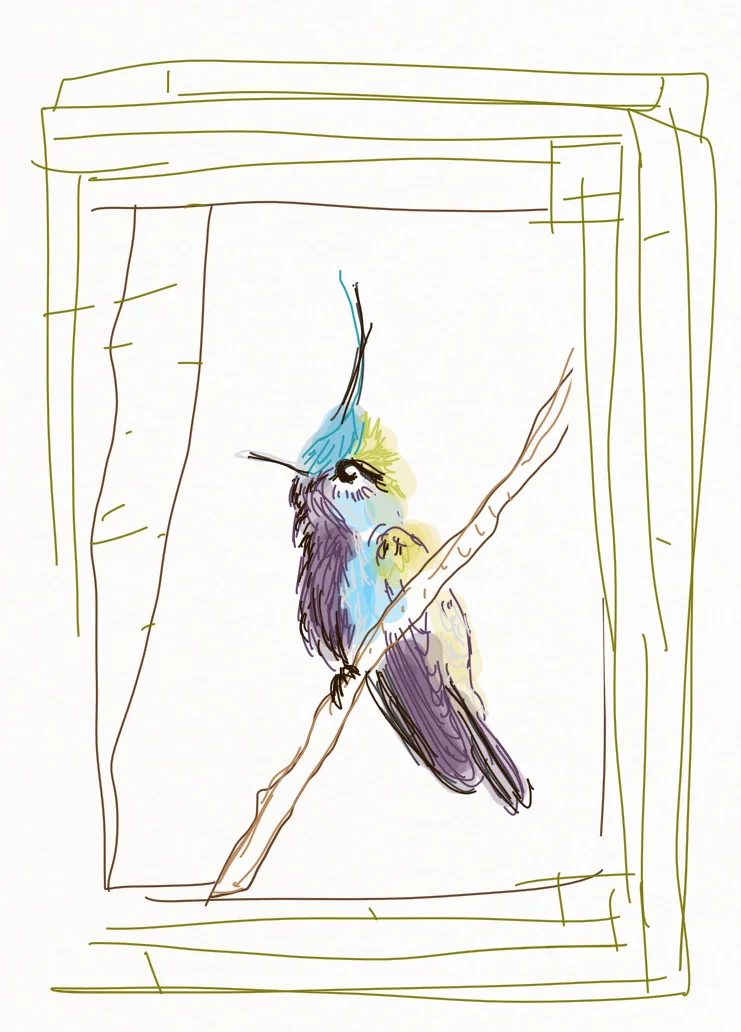 Hummingbird 1