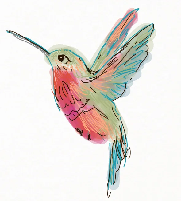 Hummingbird Mid Flight