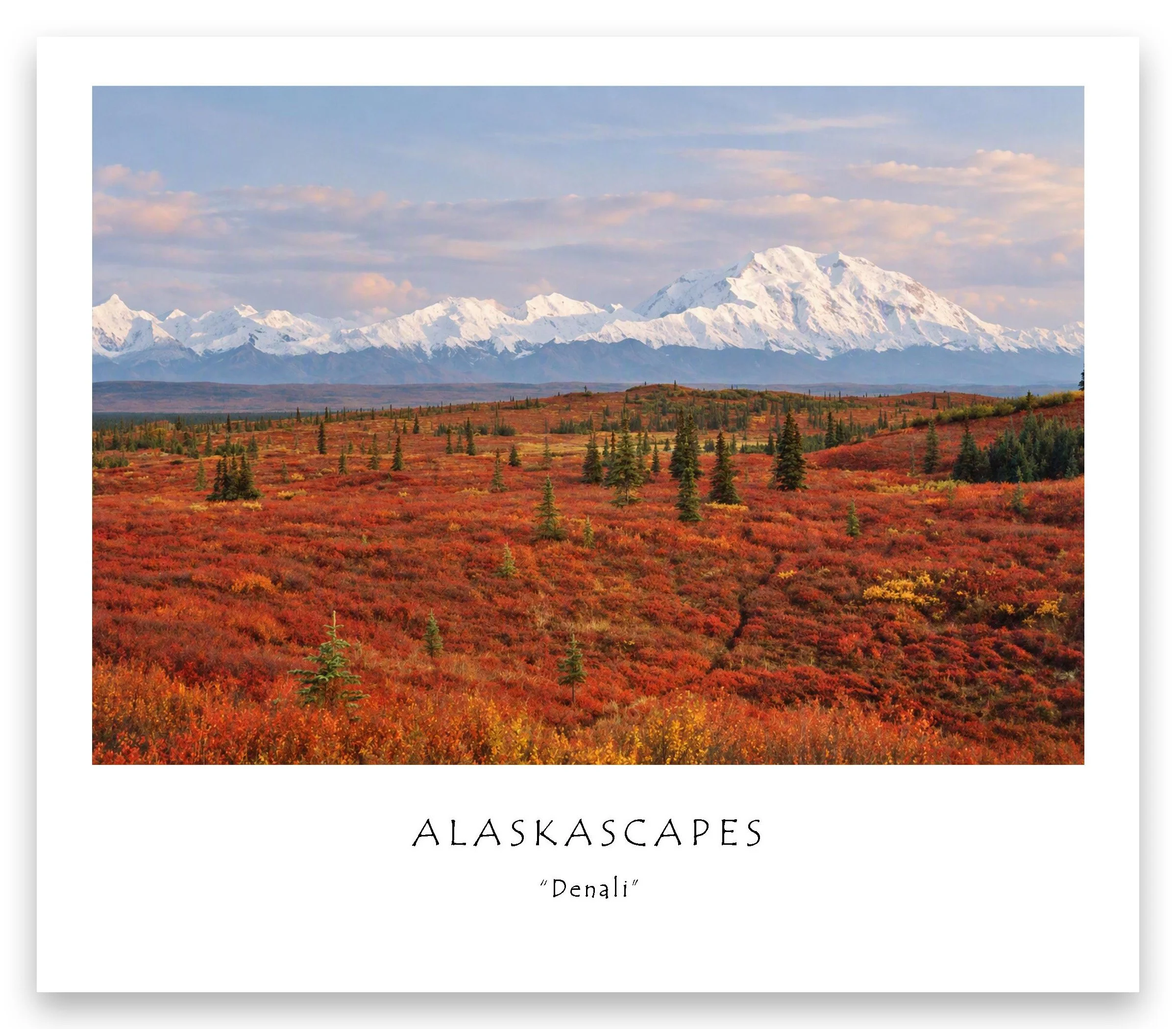 Denali_edited-1.jpg