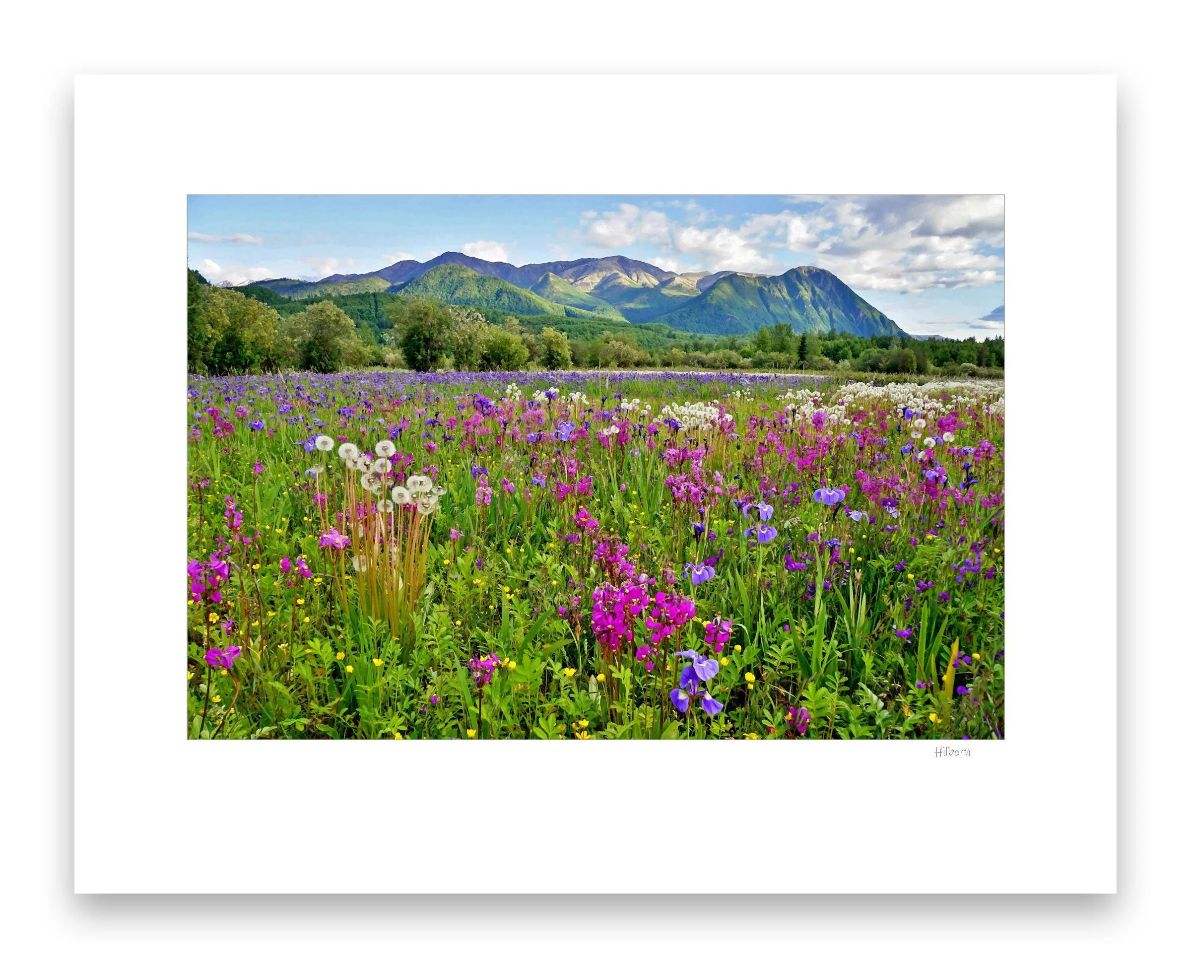Publication12_edited-1.jpg
