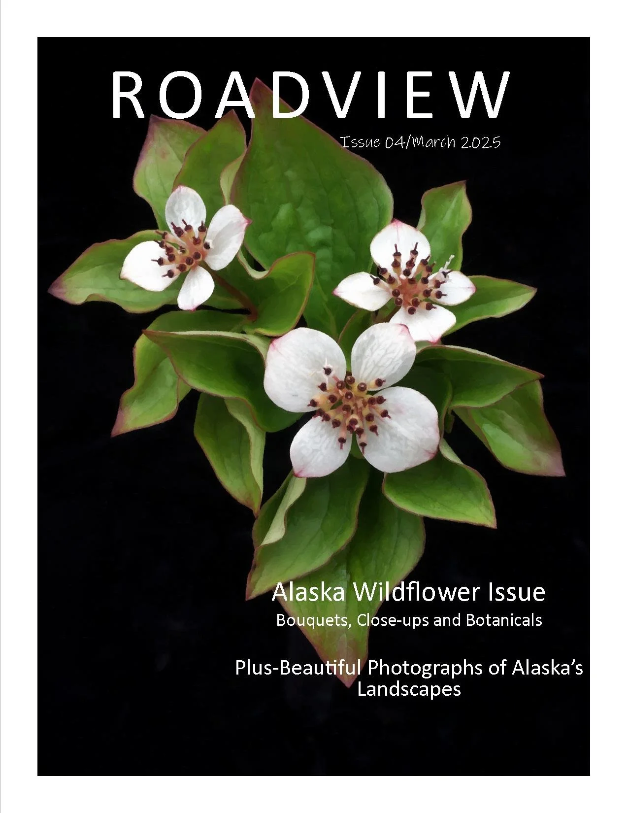 Magazine RV march2025 issue4-2.jpg