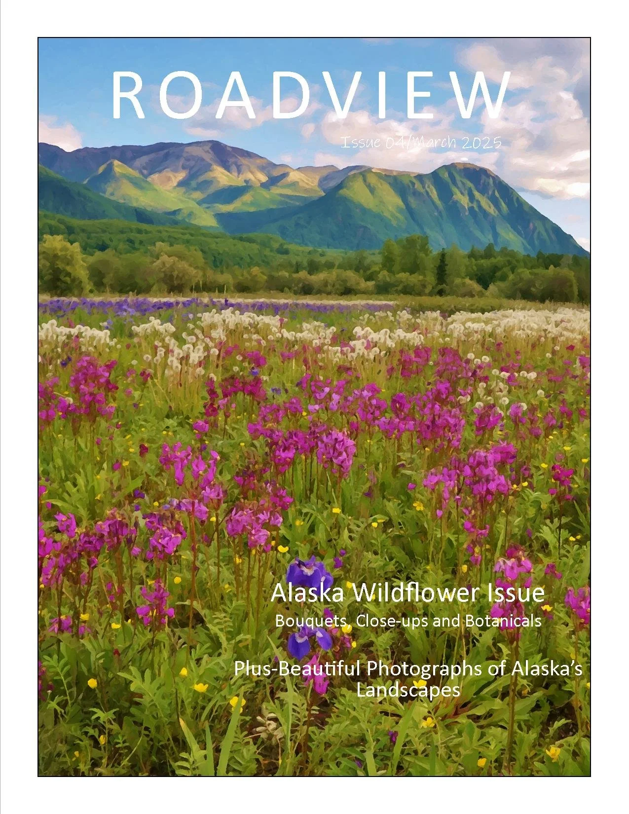 Magazine RV march2025 issue4-3.jpg