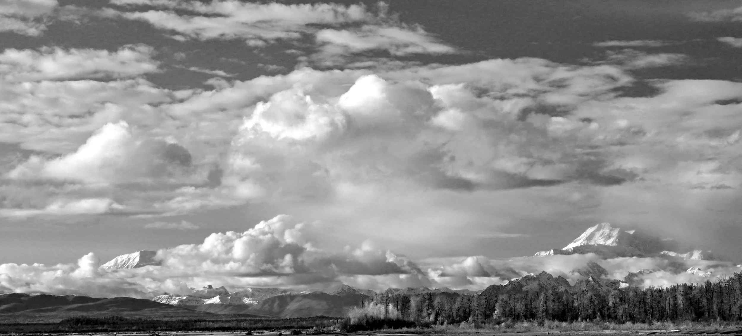 DSC05943_edited-3.jpg