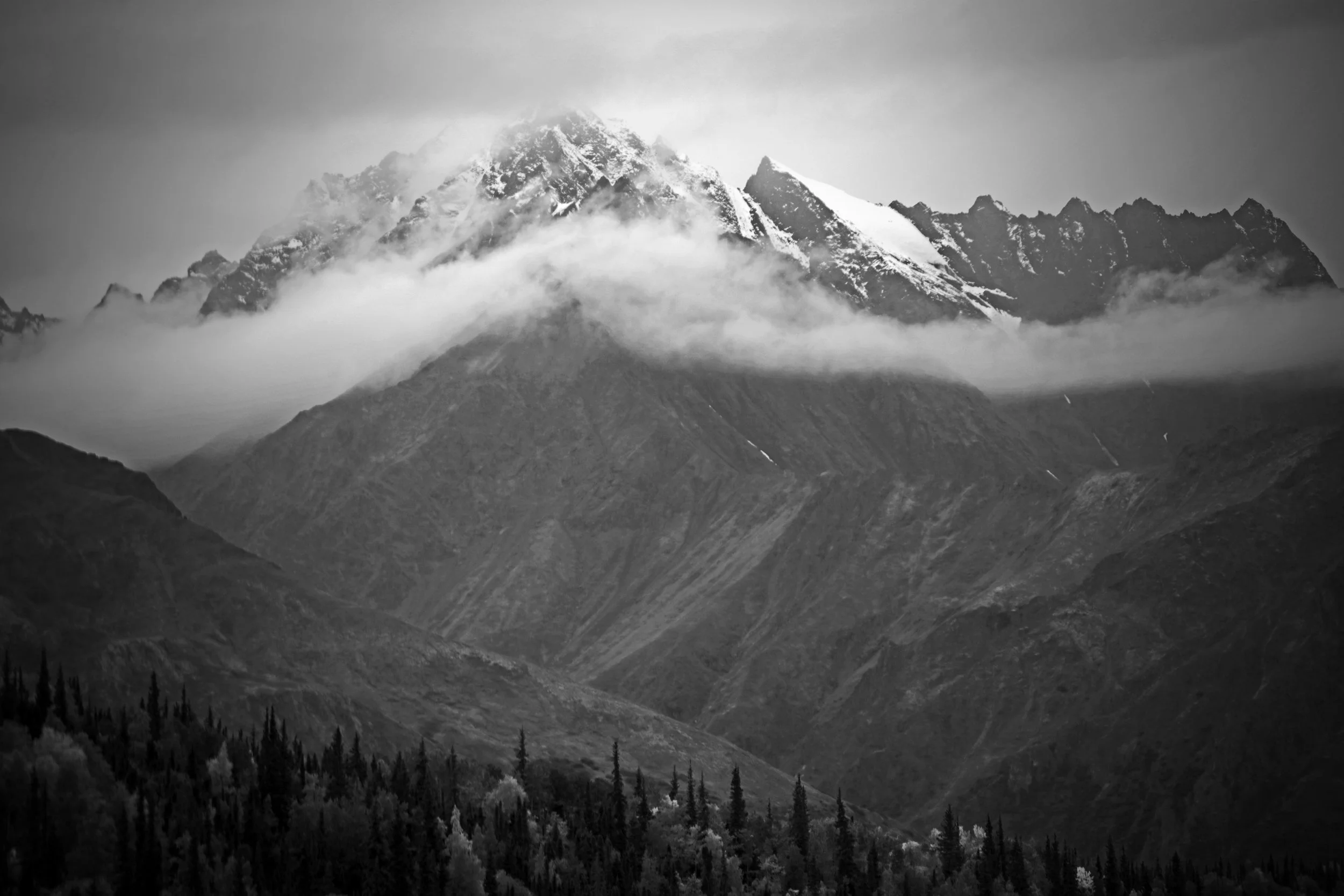 DSC05645_edited-1.jpg
