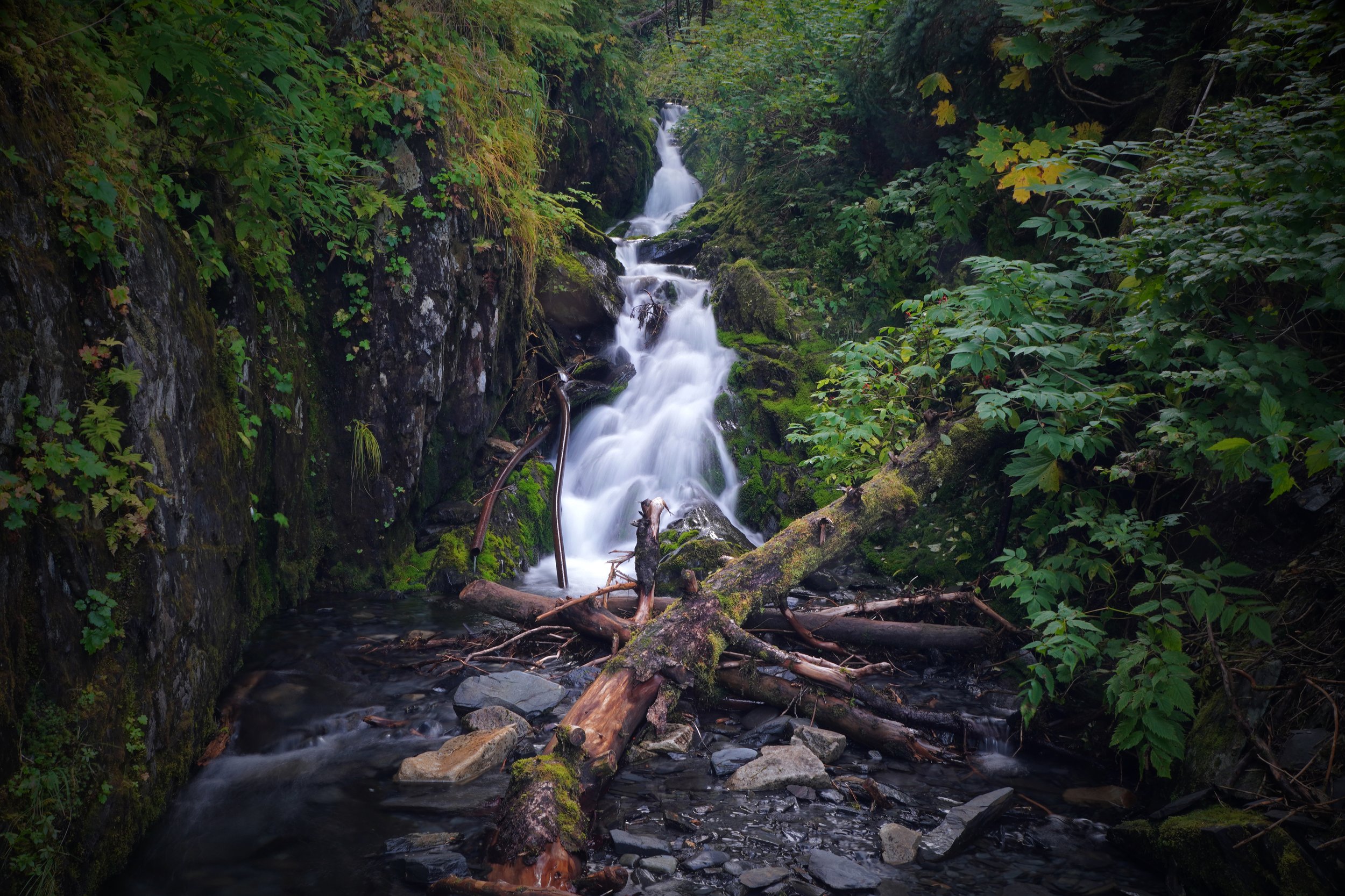 DSC00954_edited-1 copy.jpg