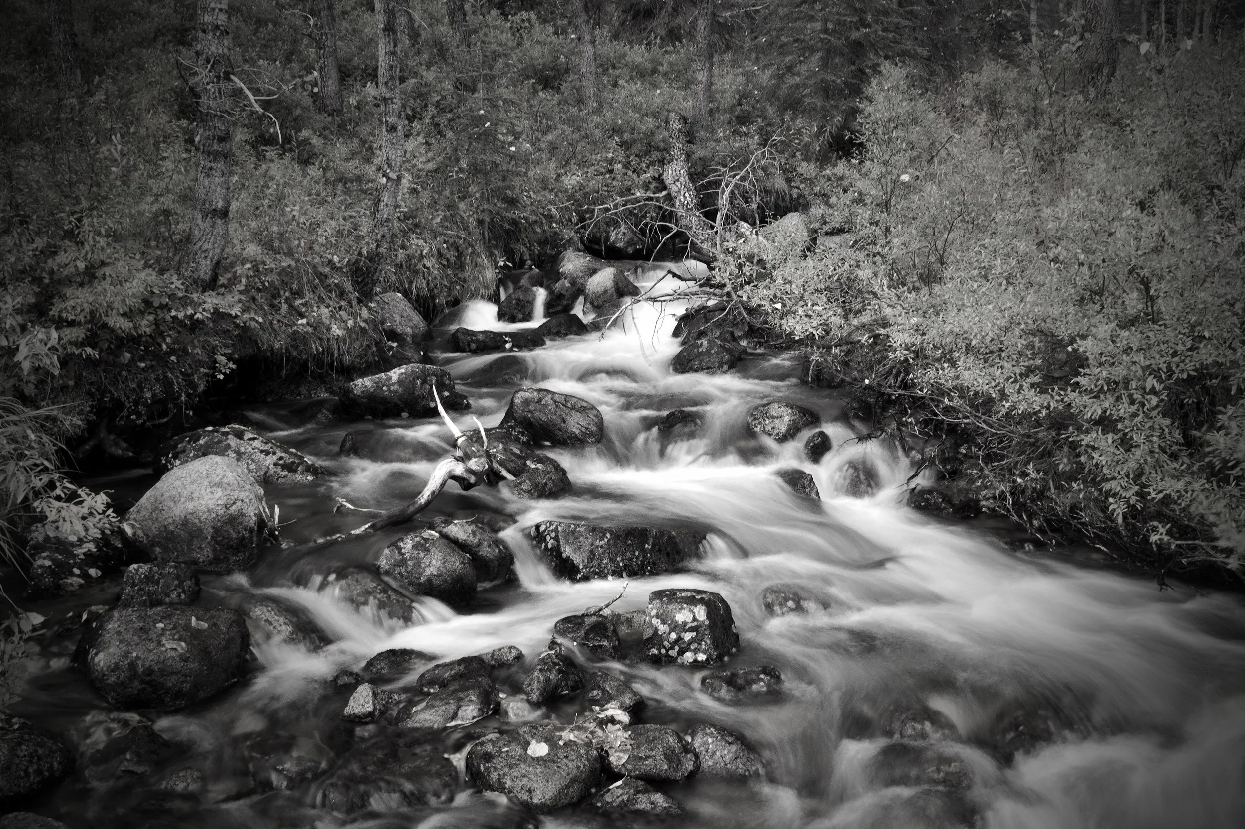 DSC05535_edited-4 copy copy.jpg