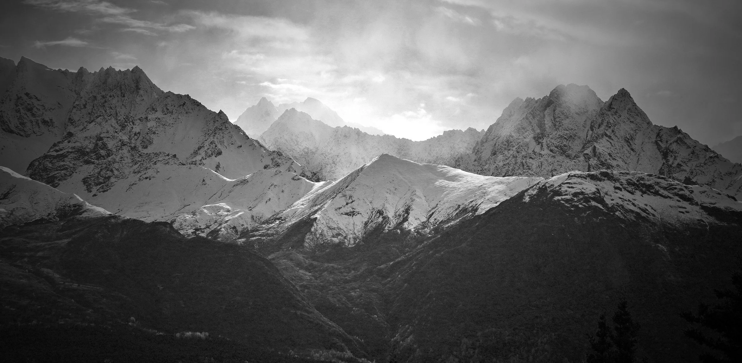 DSC07393_edited-1 copy.jpg