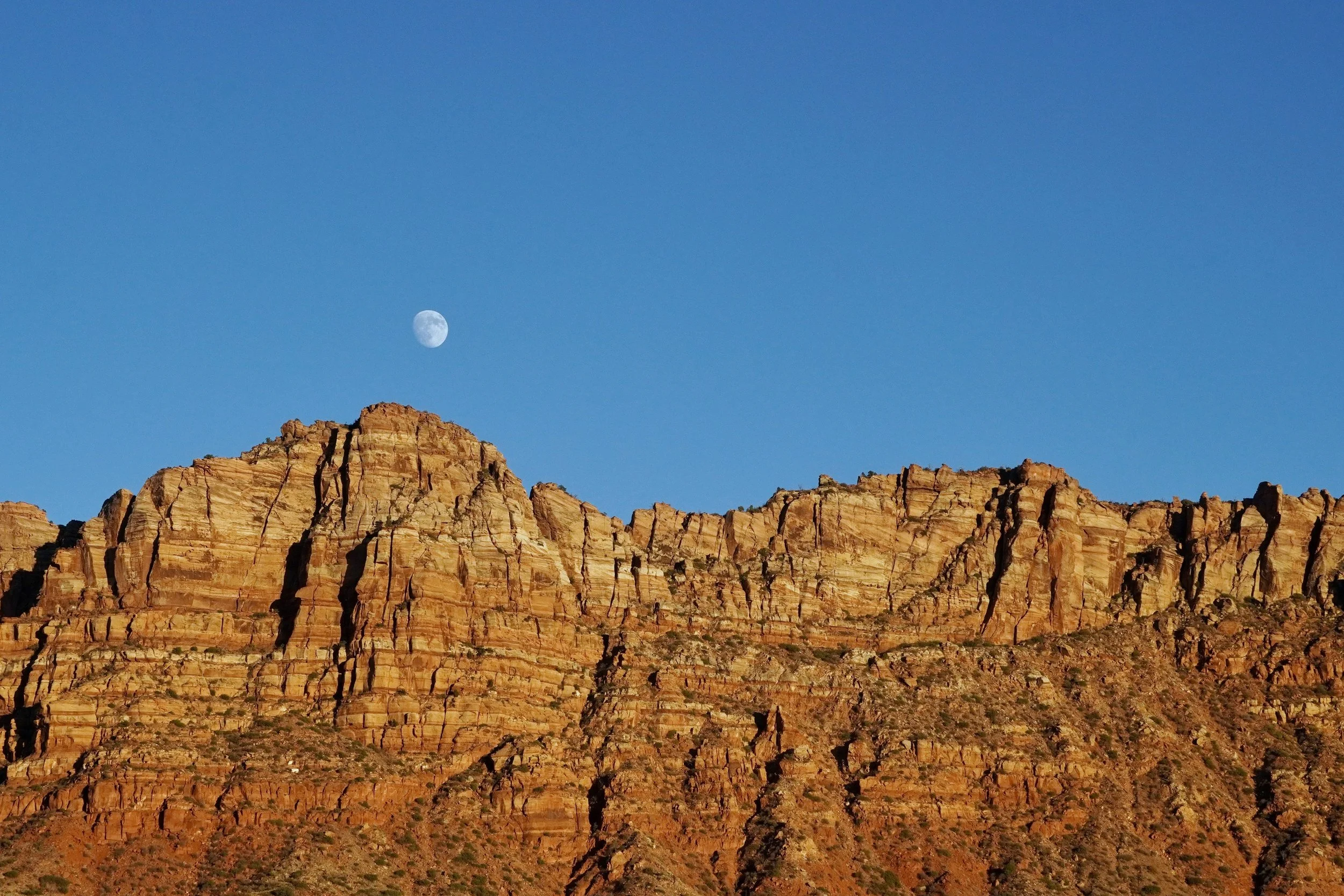 DSC02040_edited-1.jpg