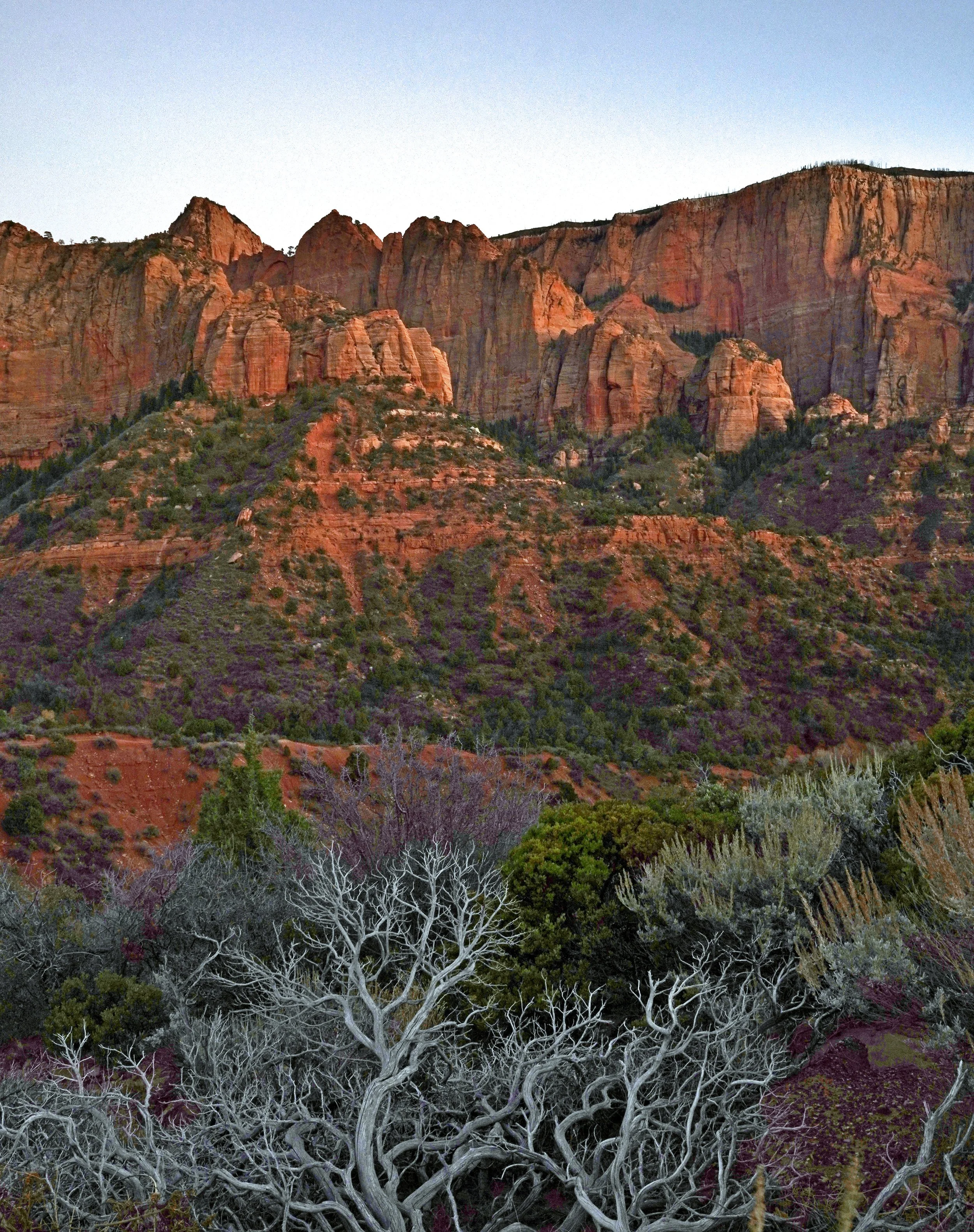 DSC01915_edited-2.jpg