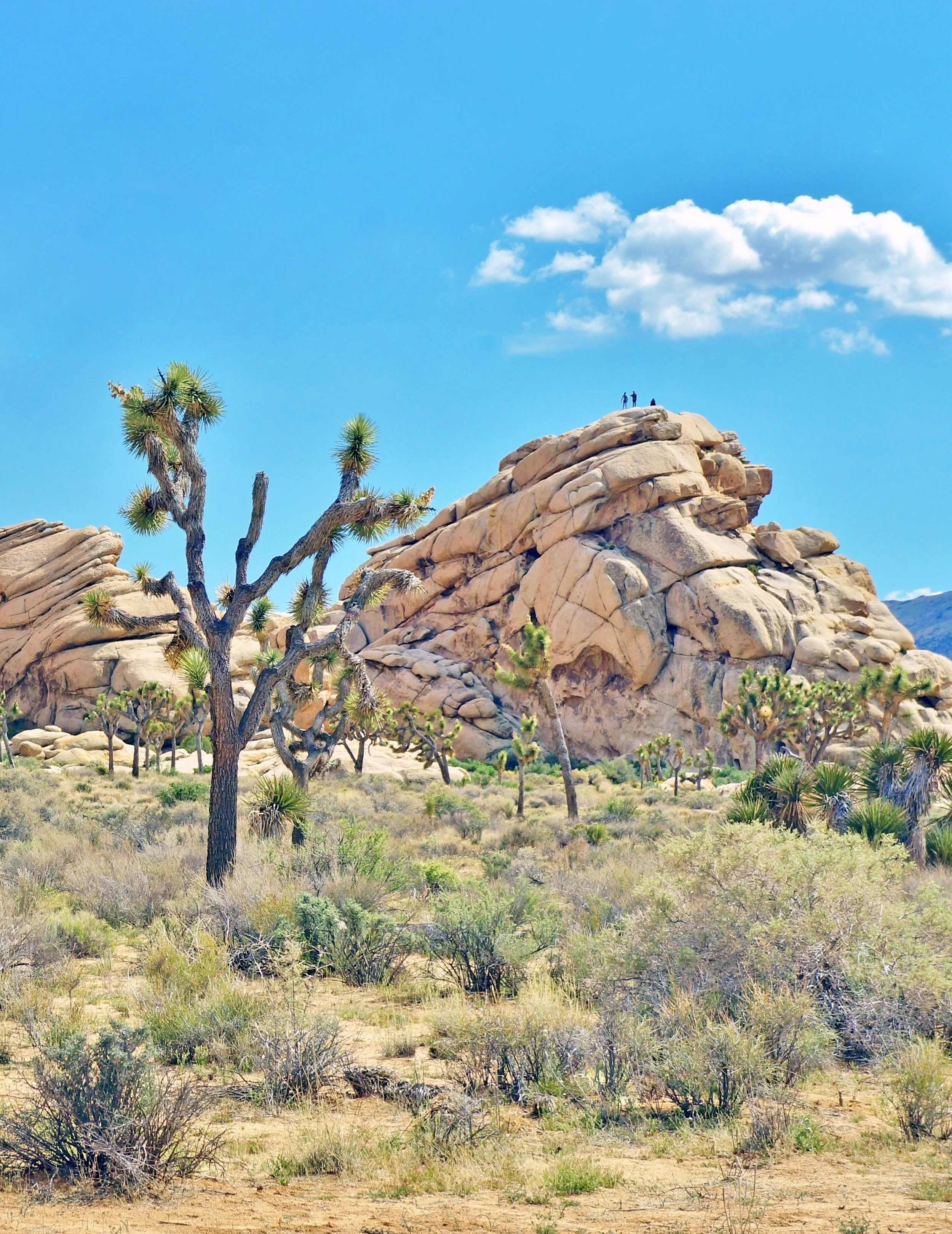 DSC03115 (2)_edited-2.jpg