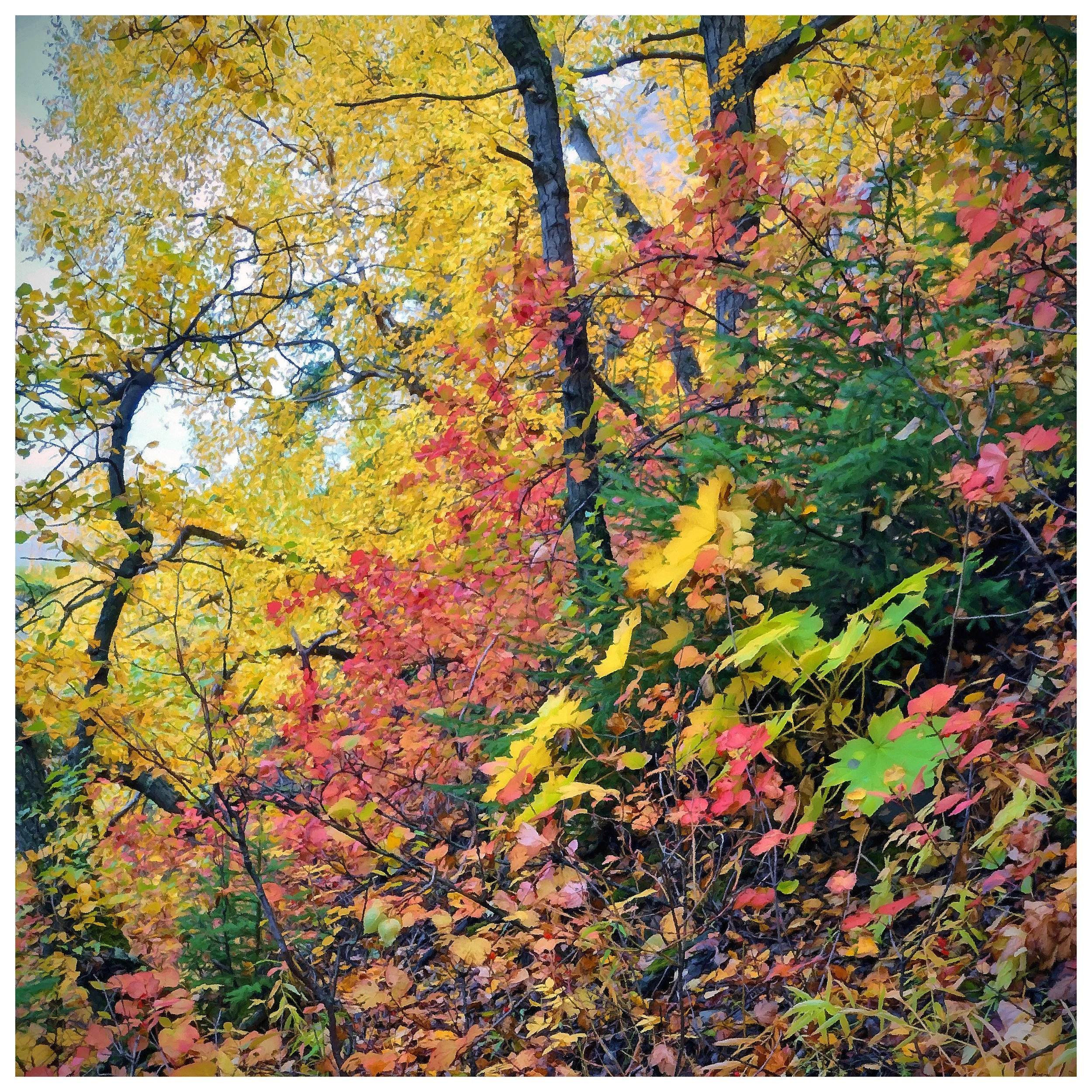 034_FotoSketcher_edited-2 copy_edited-1.jpg