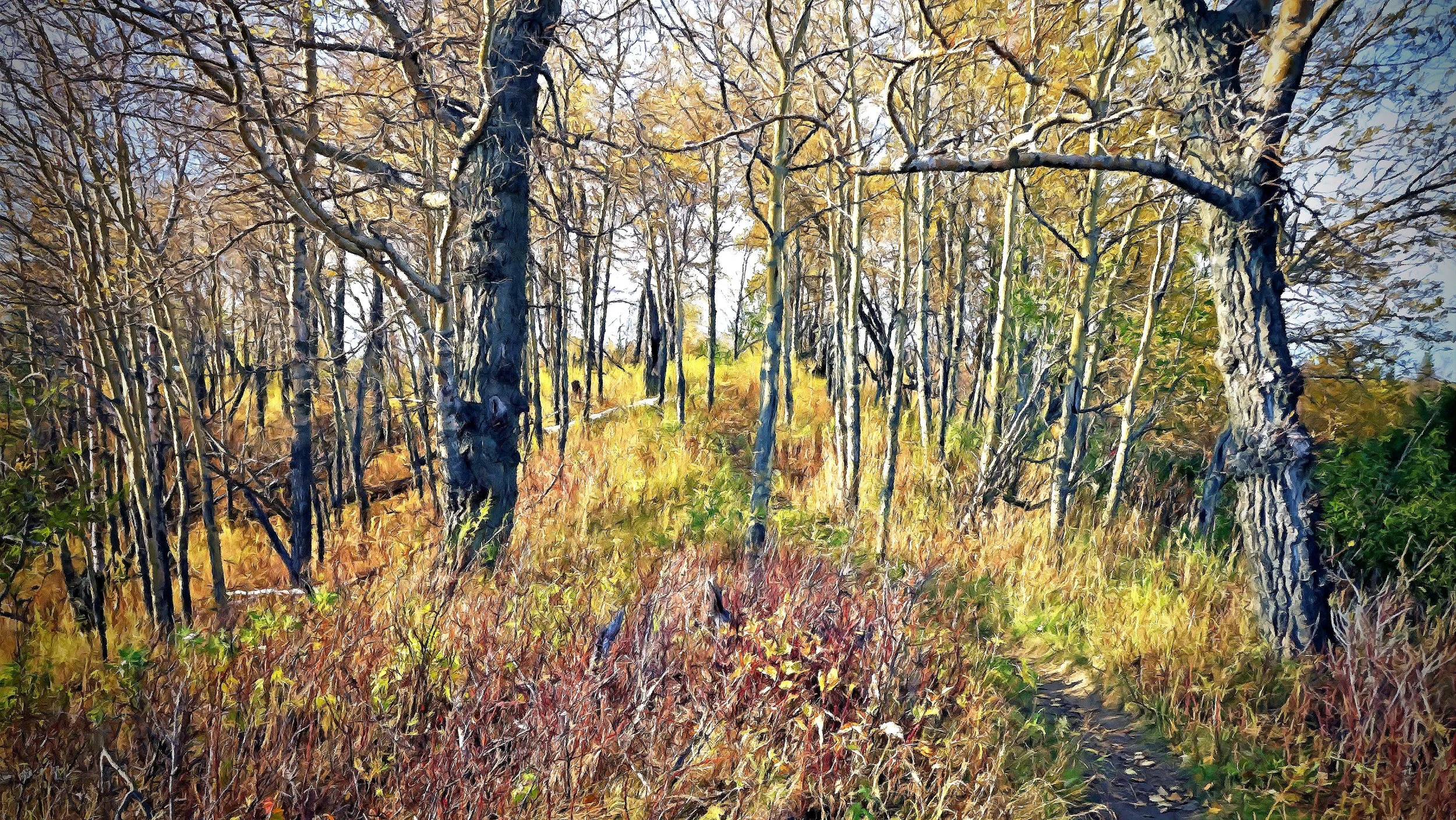 FotoSketcher - 017_edited-2 copy_edited-1.jpg