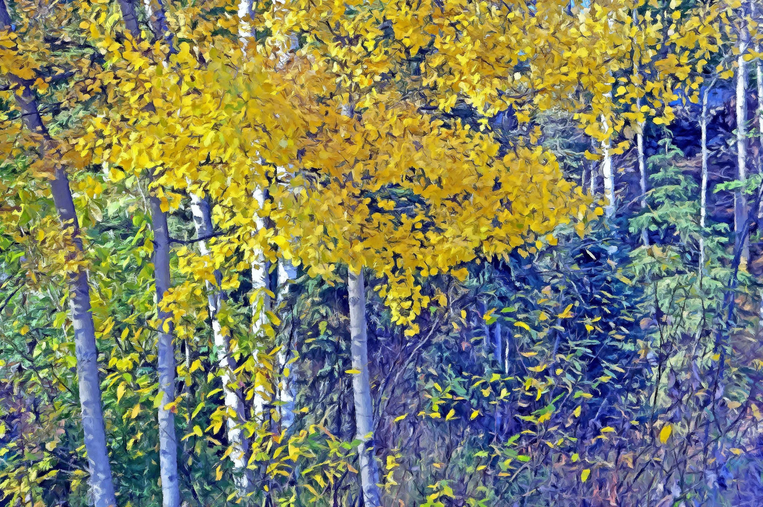 FotoSketcher - 059_edited-4.jpg