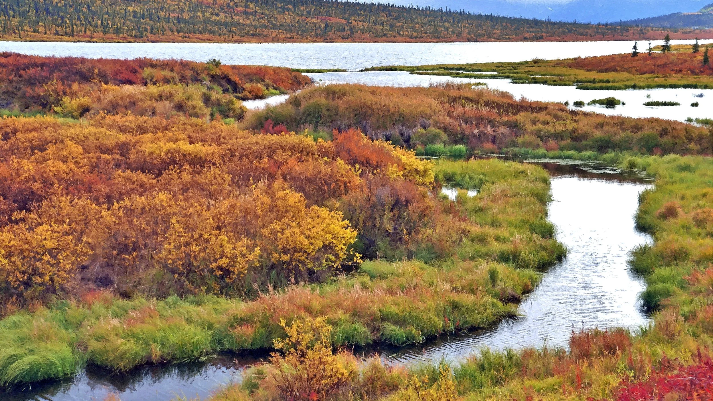 FotoSketcher - 595_edited-3.jpg