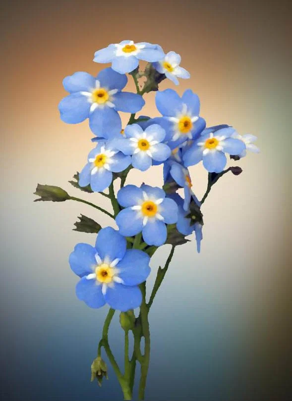 8x10 To Mat Forget Not BC_edited-1.jpg