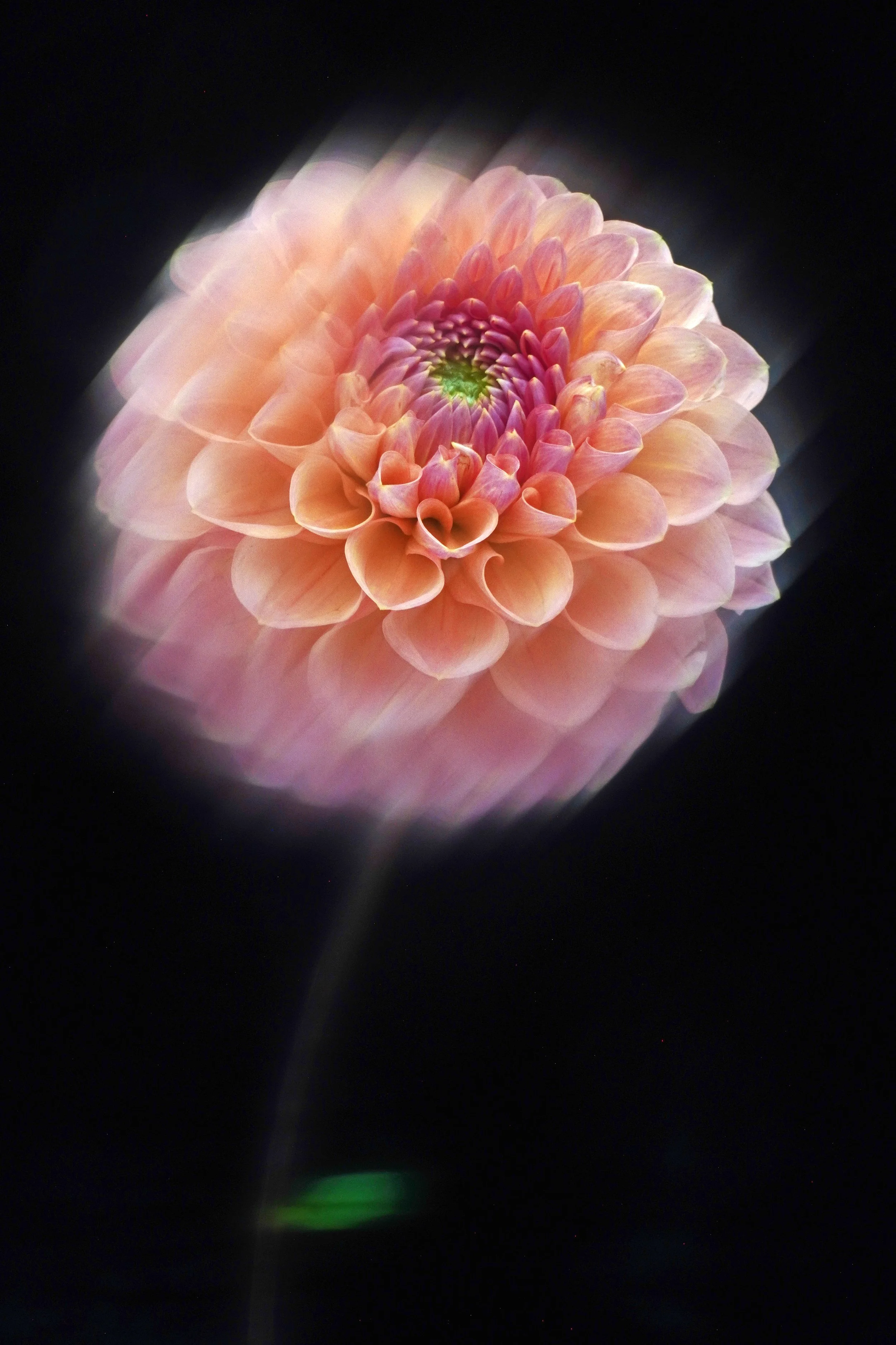 DSC00152_edited-1.jpg