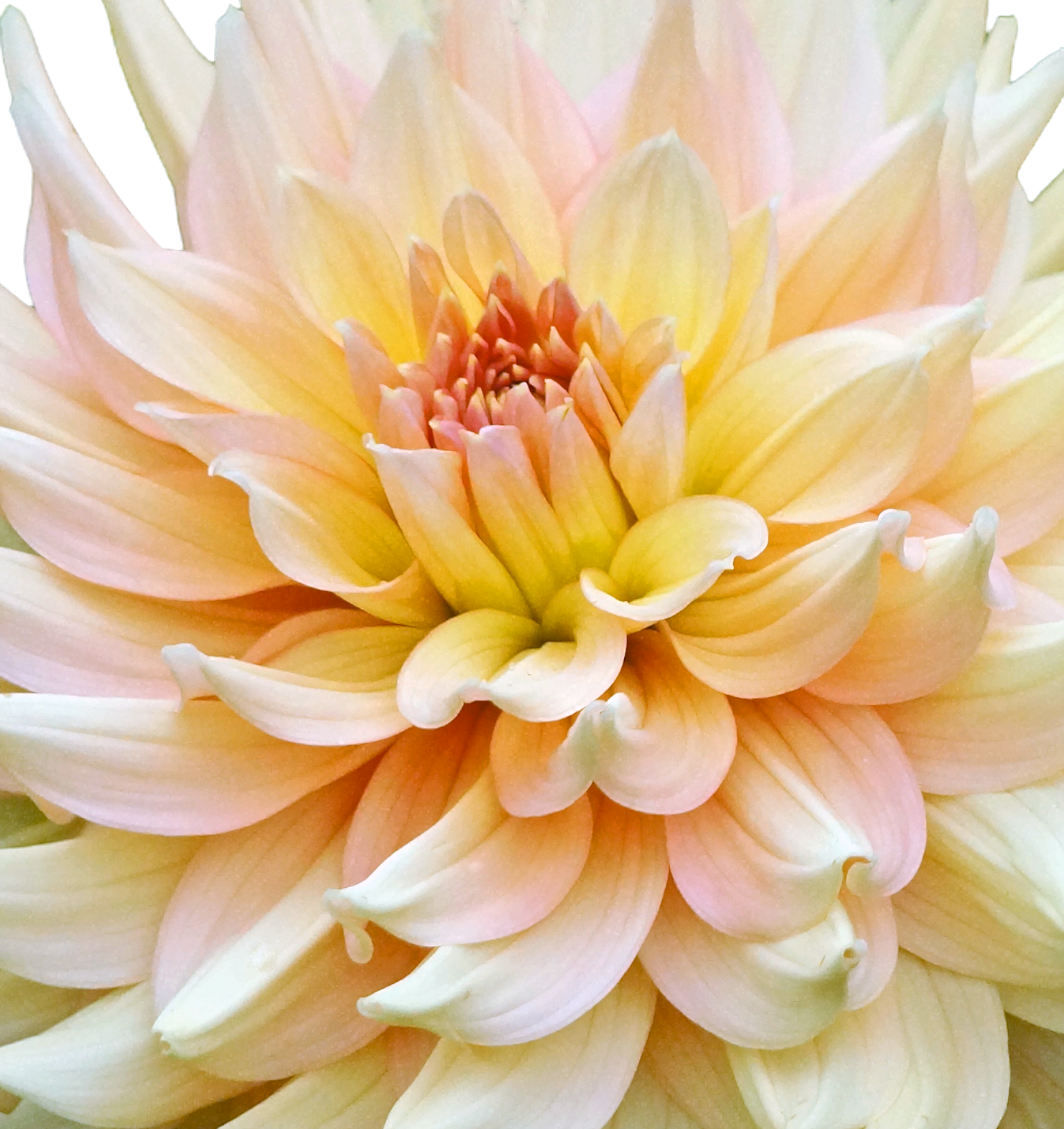 DSC06455_edited-1.png