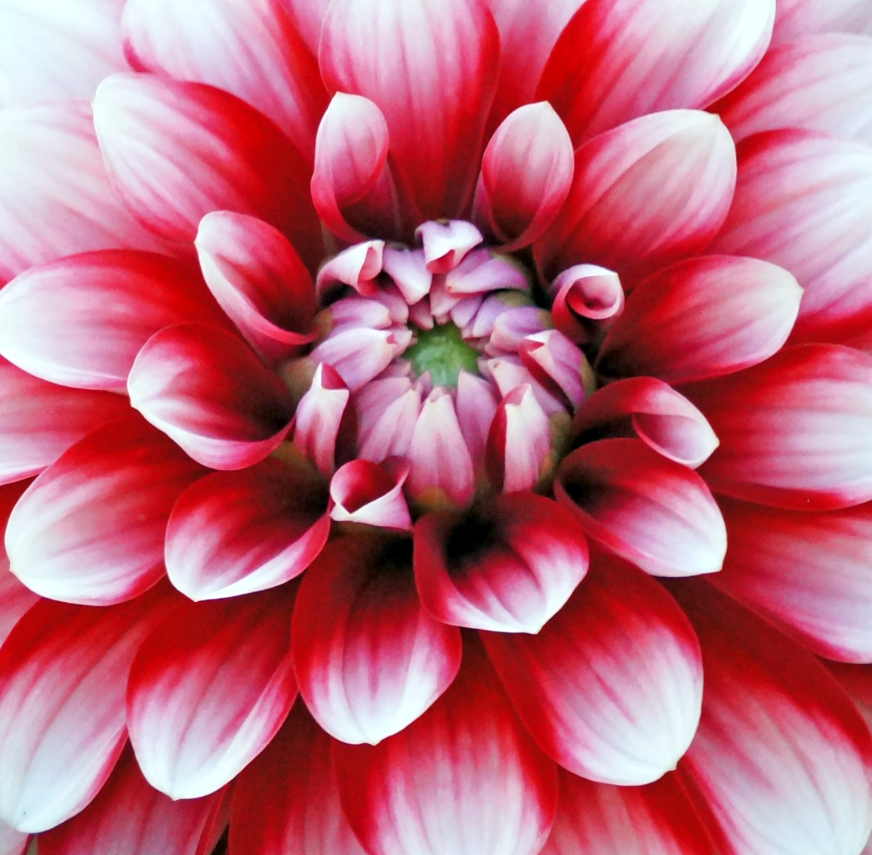 DSC09319_edited-2.png