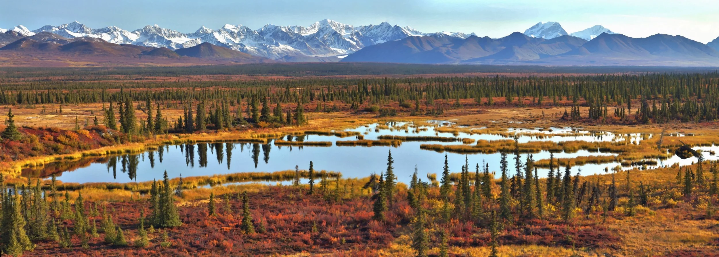 DSC01416 Stitch (2)_FotoSketcher.jpg