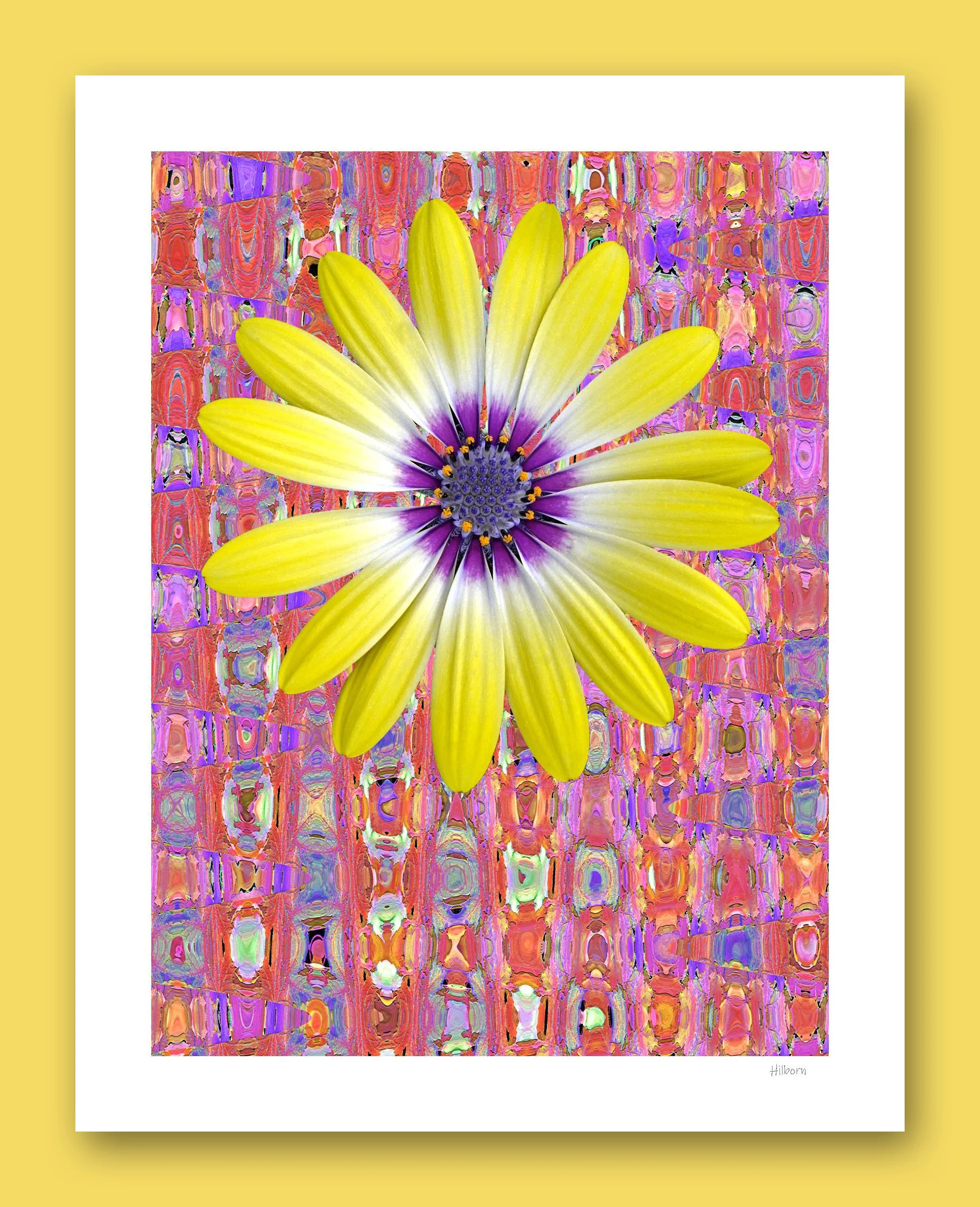 11x14 Floral Abstract #1_edited-1.jpg