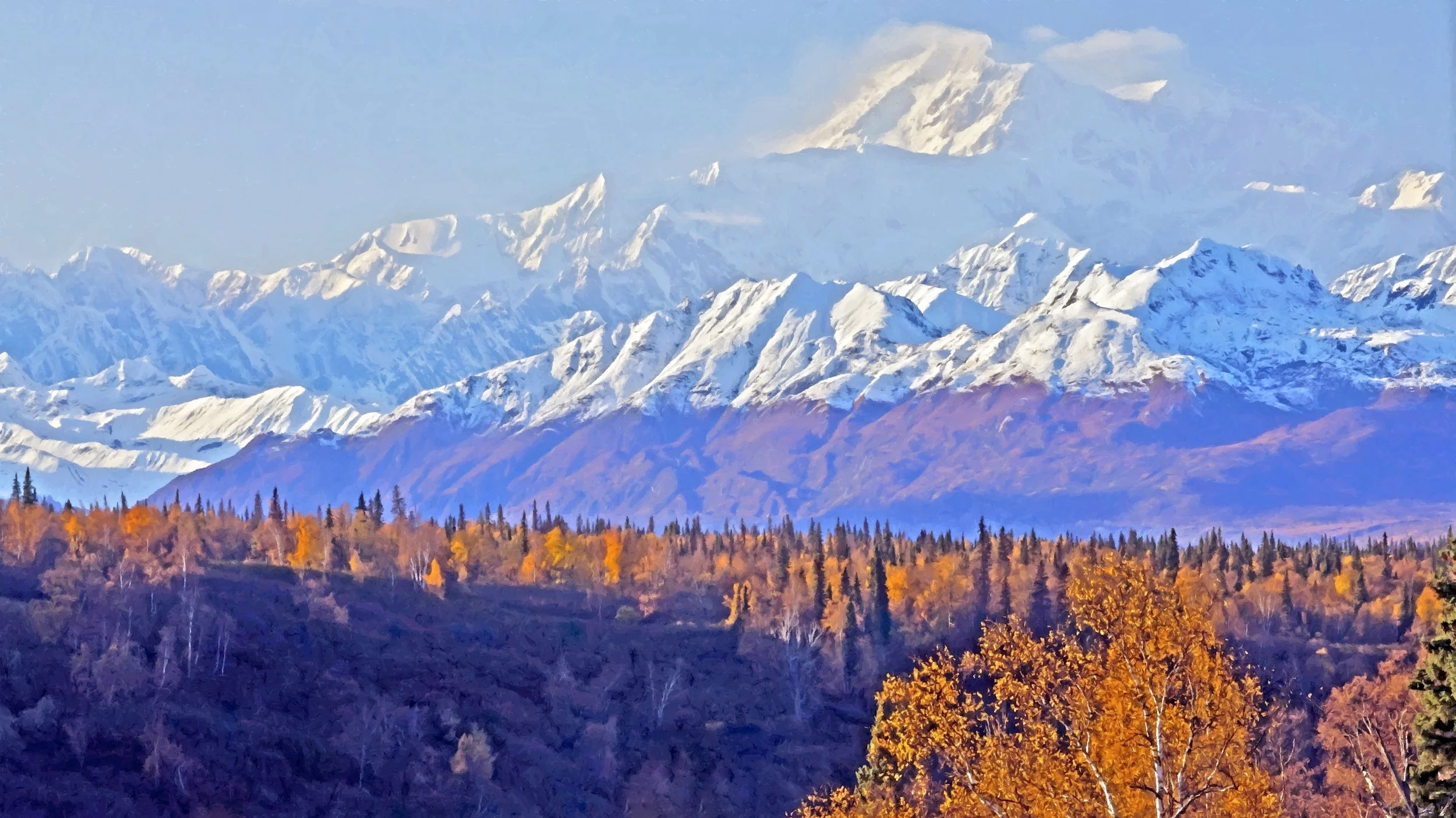 Denali Evening Glow.jpg
