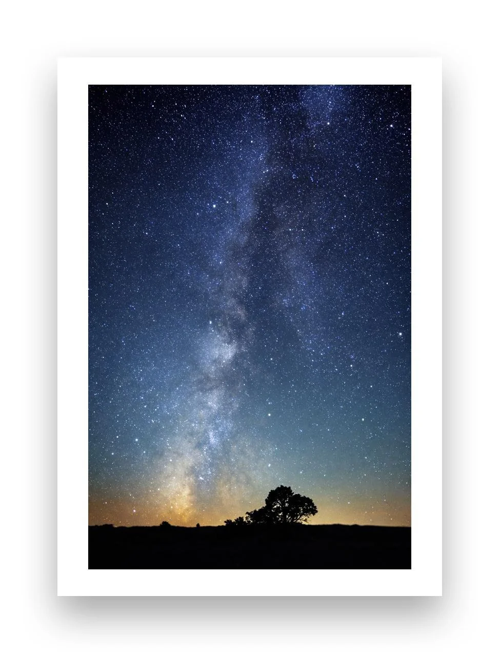 Milky Way small tree_edited-1.jpg