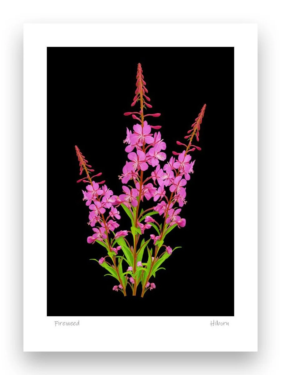 5x7 Fireweed 3_edited-2.jpg