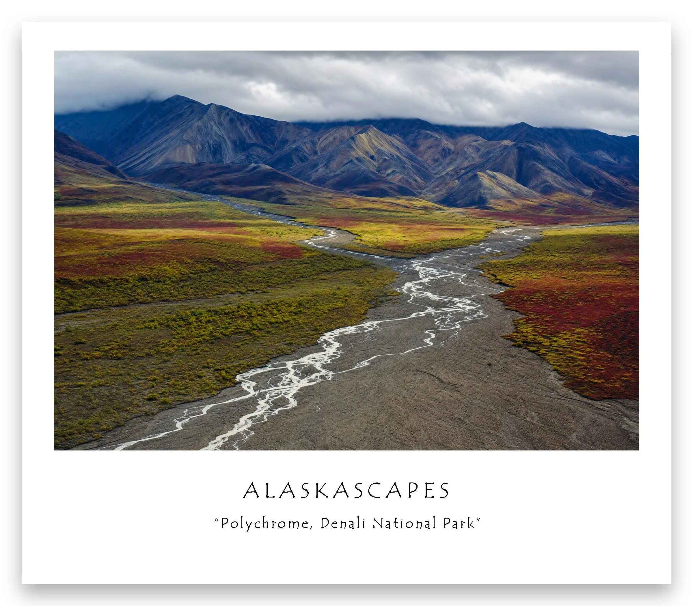 Polychrome_edited-1.jpg