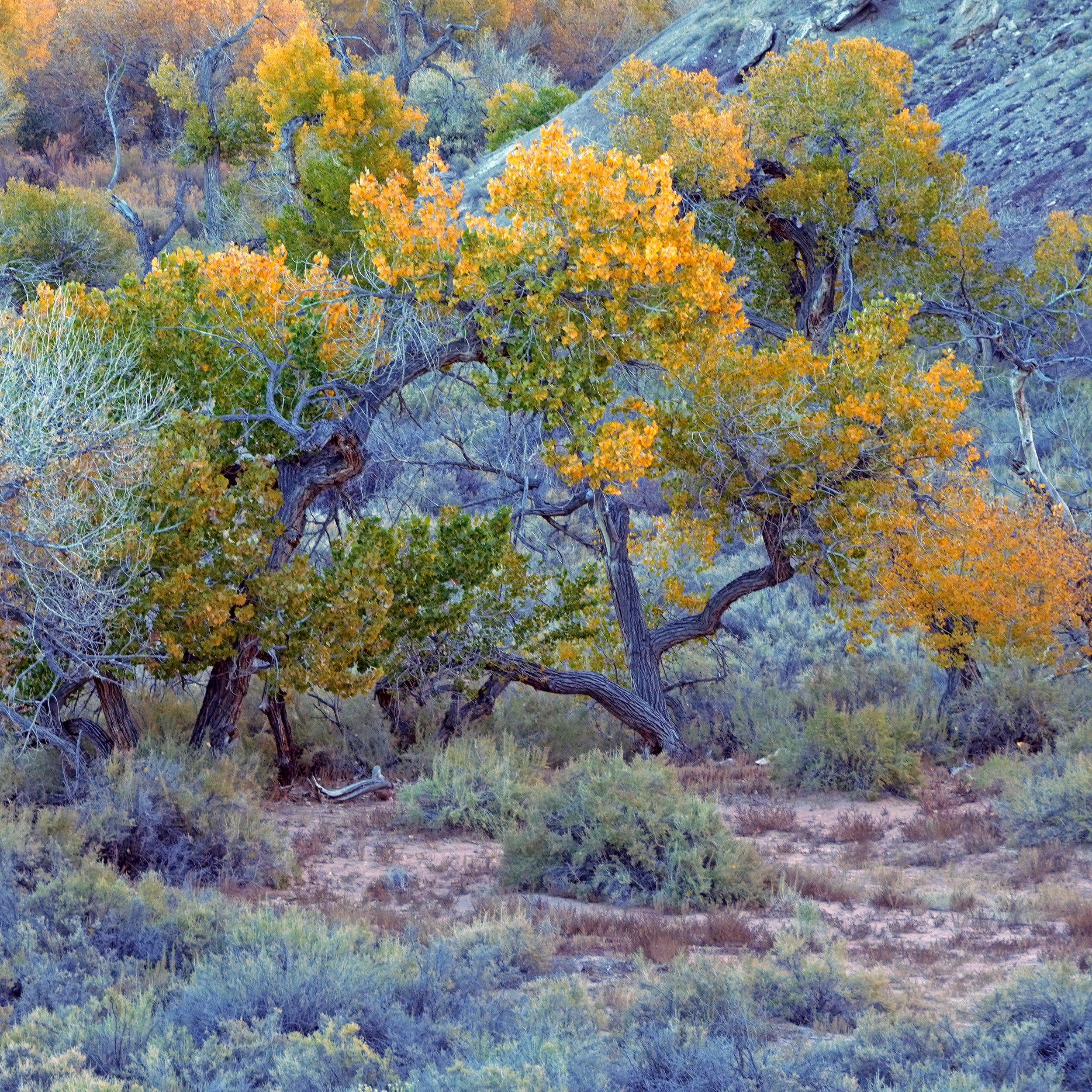 DSC07895_edited-2.jpg