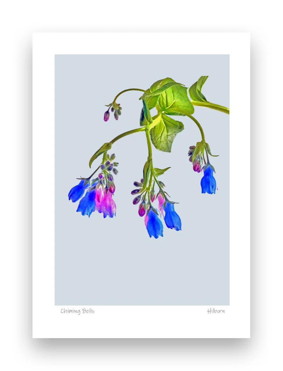 5x7 Chiming Bells_edited-1.jpg