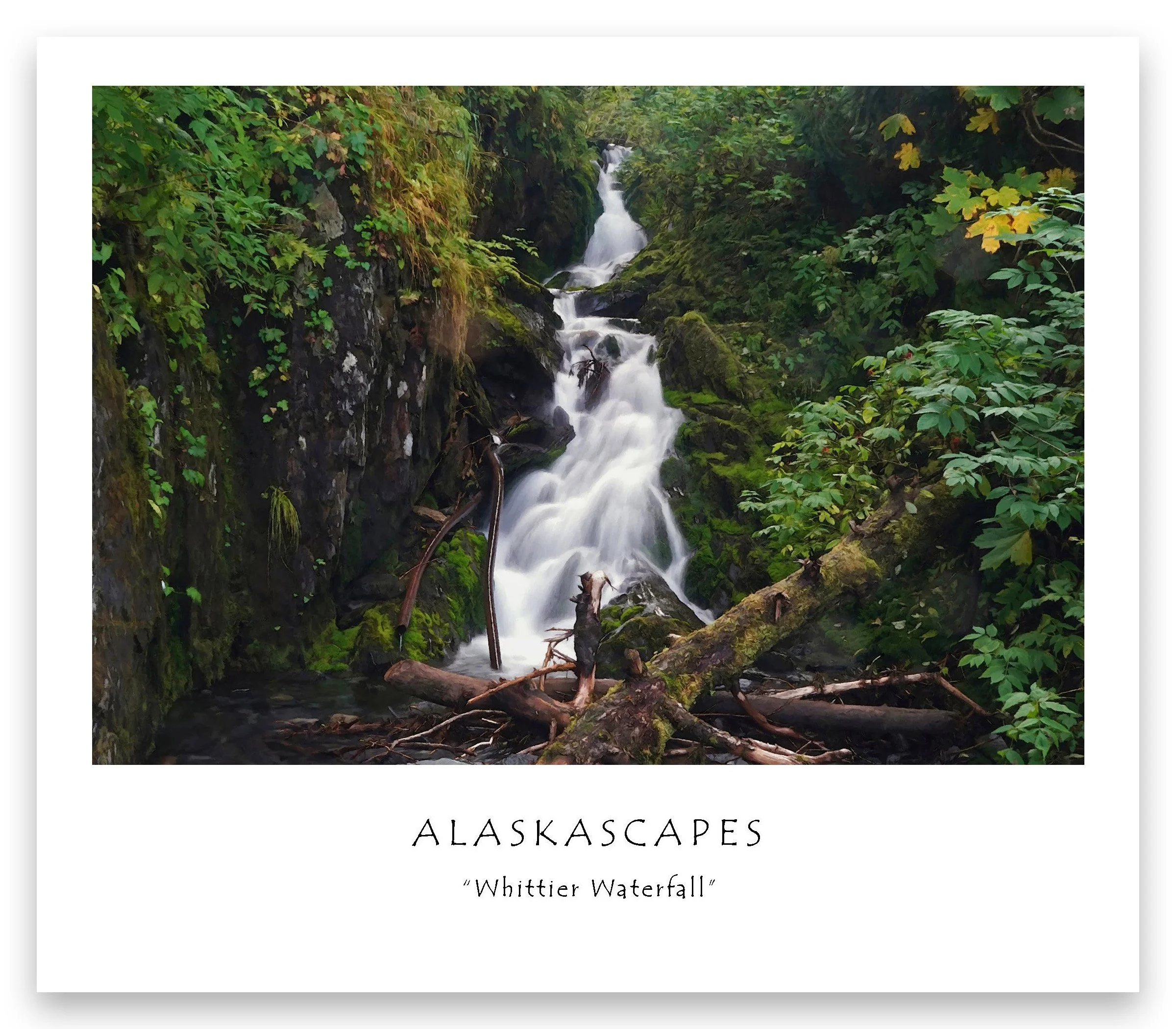 Whittier Waterfall_edited-1.jpg