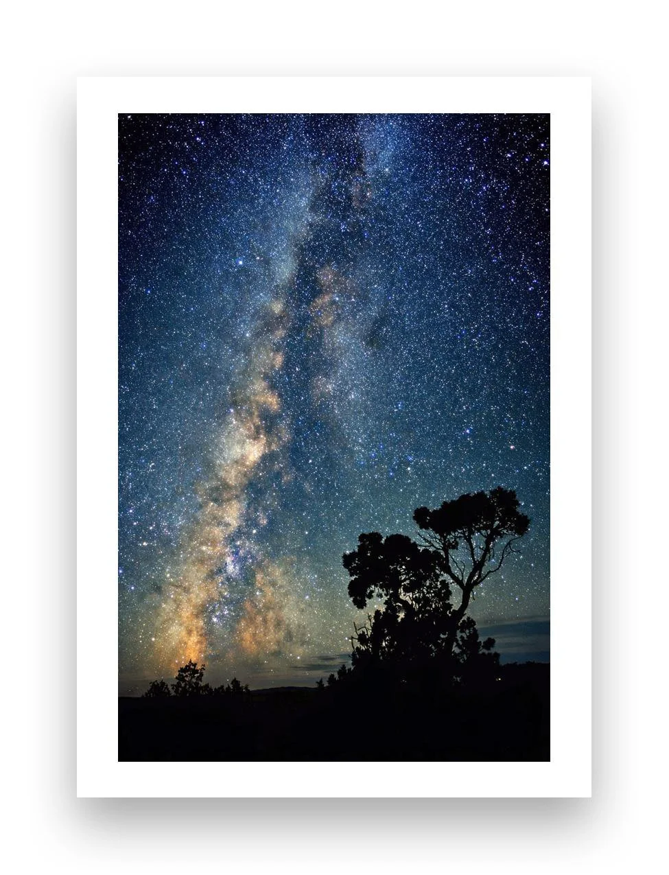 Milky Way Tree_edited-1.jpg