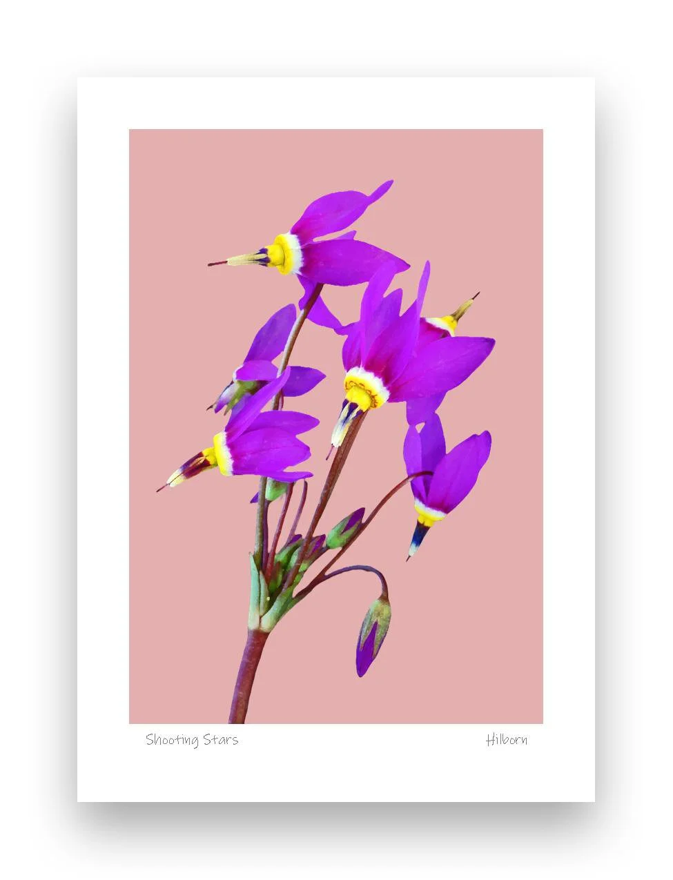 5x7 Shooting Stars Pink_edited-1.jpg