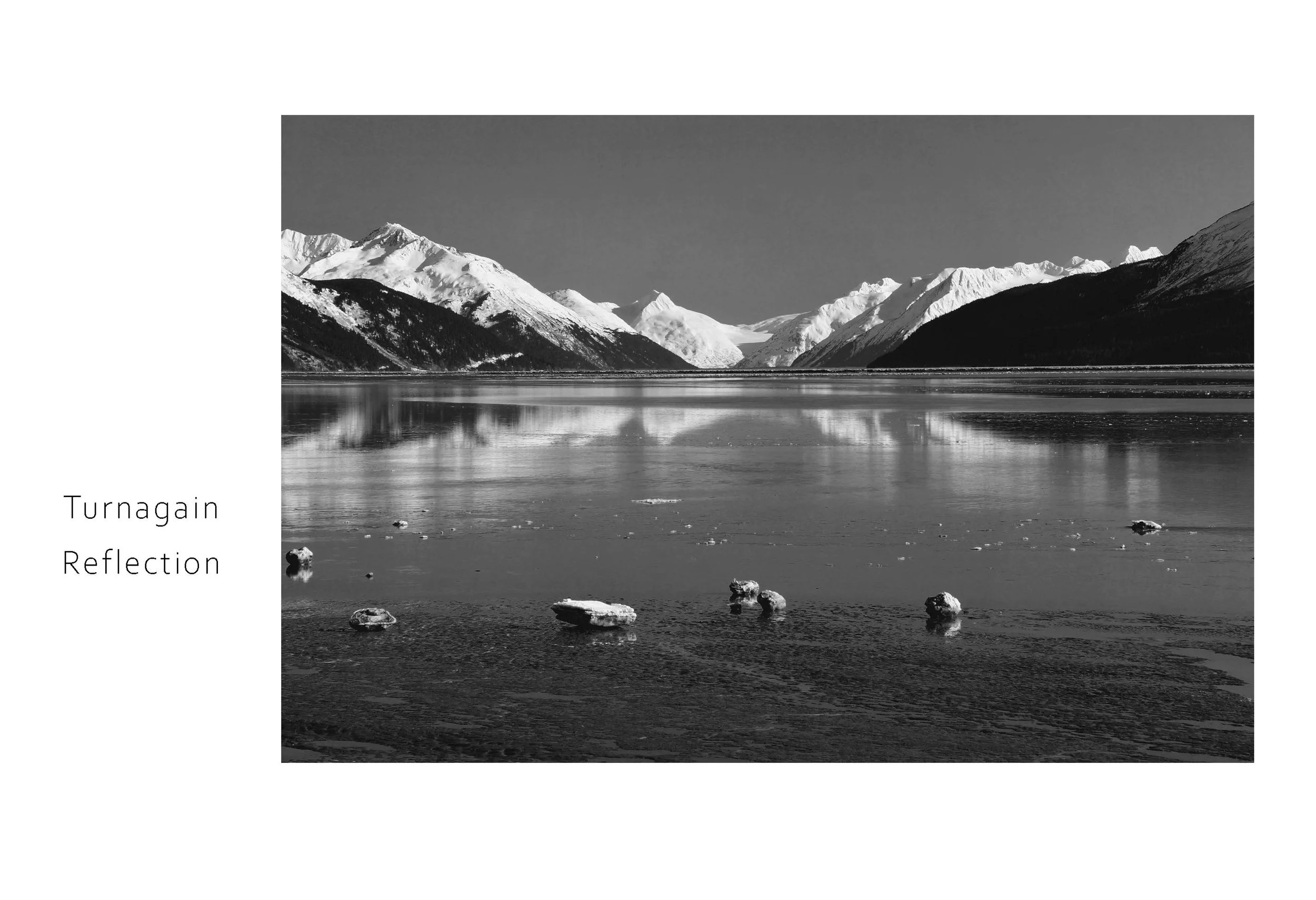 Turnagain Reflection.jpg