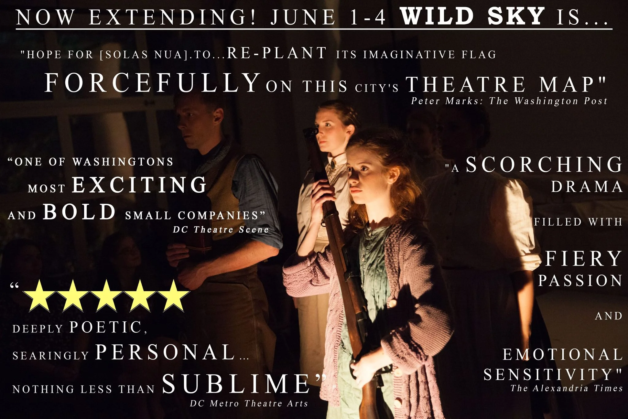 wild sky poster.jpg