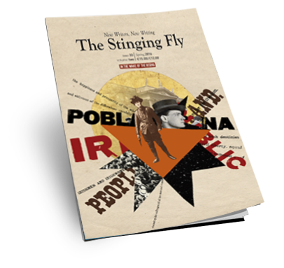 The Irish Times describes the Stinging Fly as"A visceral collection of pieces by modern Irish writers depicts another side of 1916". Read the full review here .