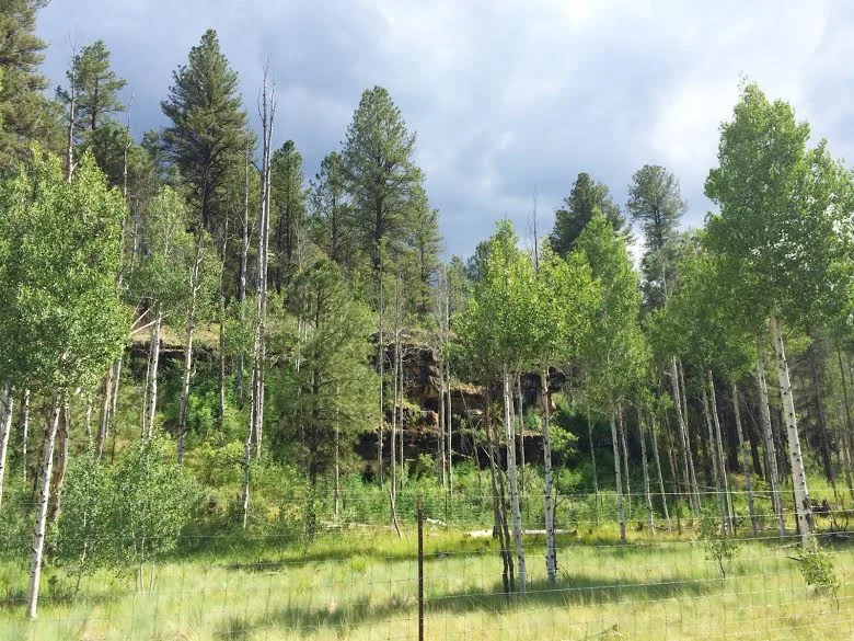 Cabin13.jpg
