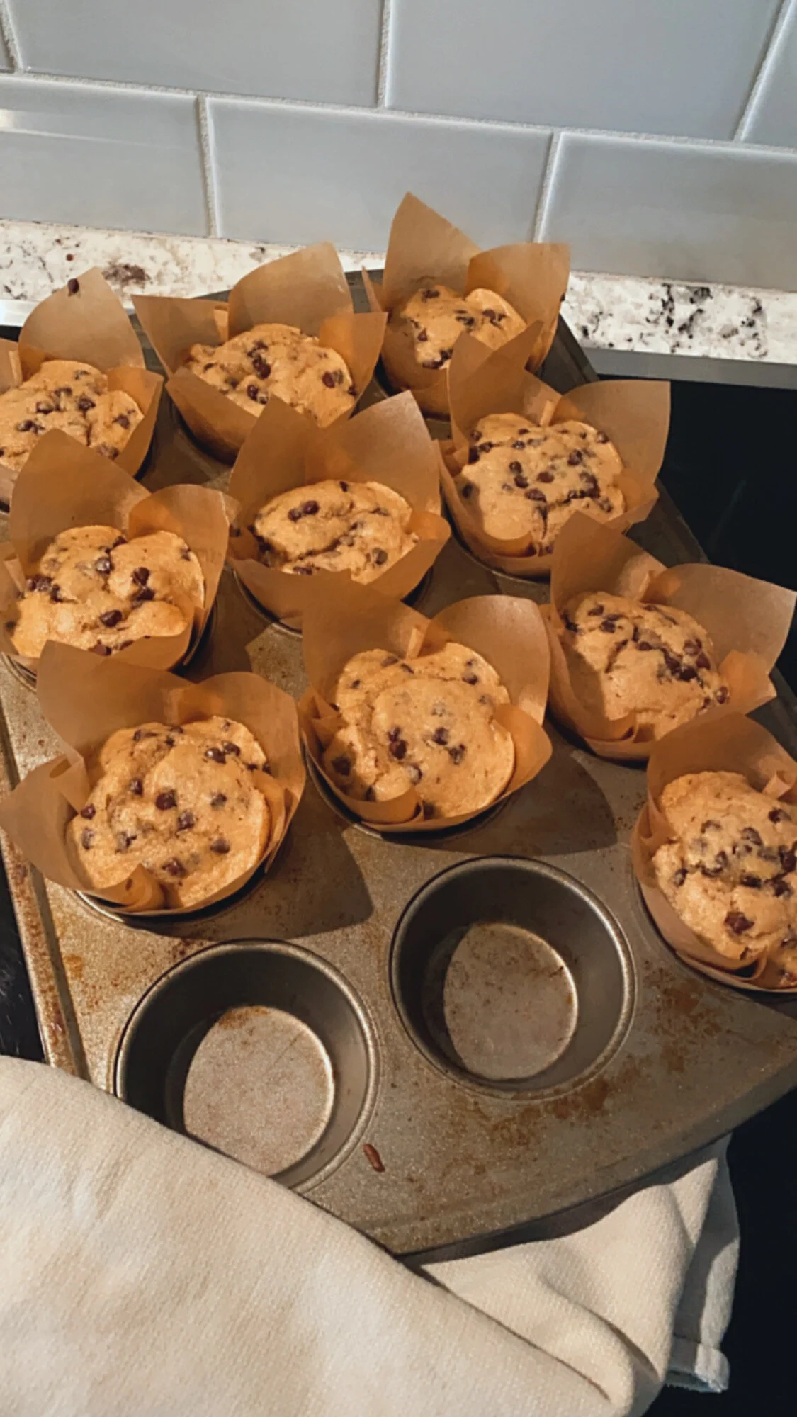 CHOCOLATE CHIP PROTEIN MUFFINS