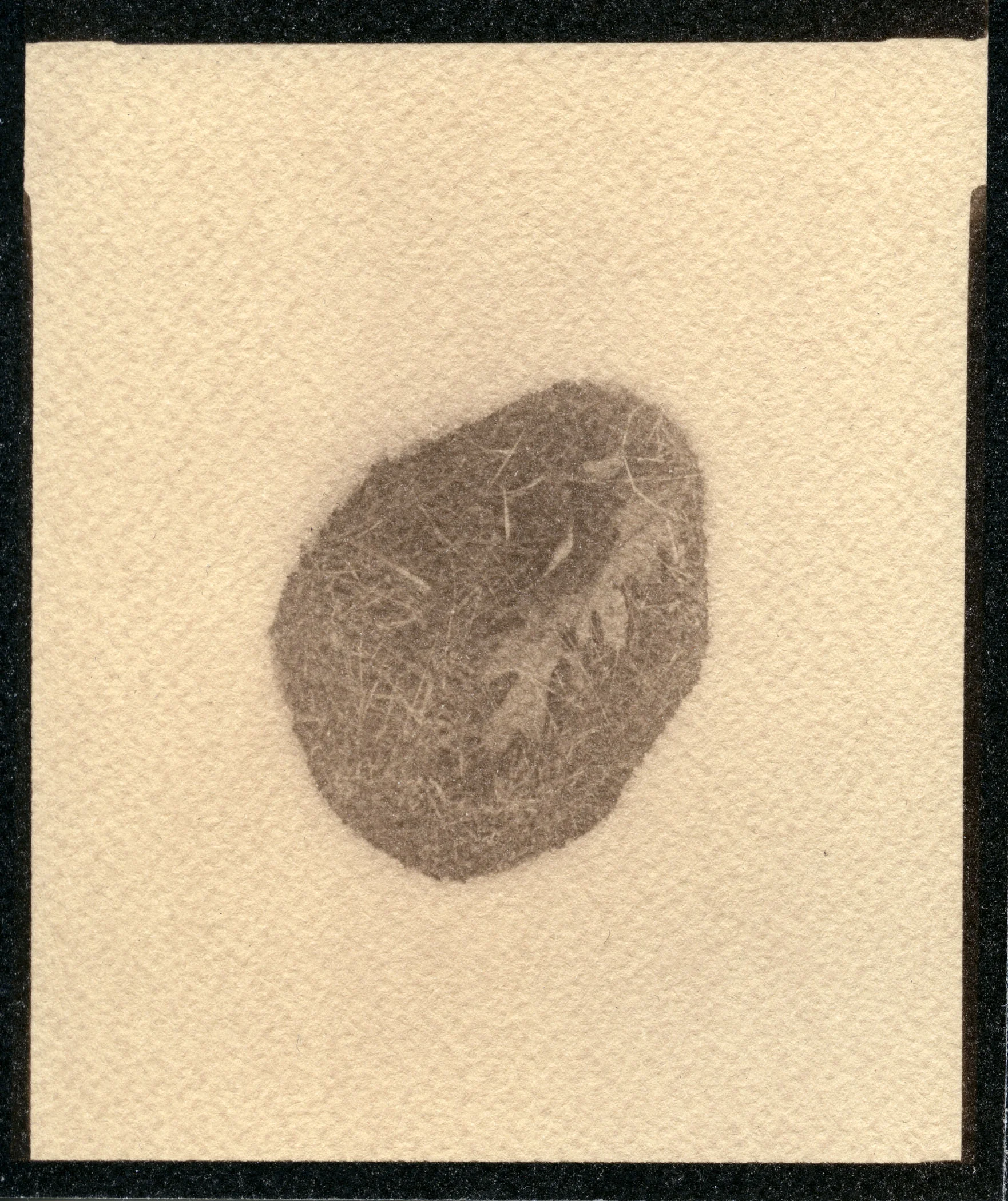 Opening In The Snow Toned Cyanotype, 2015