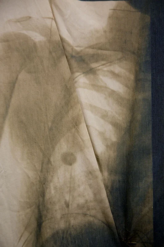 X-Ray's In Bed Toned Cyanotypes of the Artist's X-Ray's on Cotton Pillowcases, Filled with stuffing and rocks, Sewn with the Artist's Hair, Hung with Hooks, 