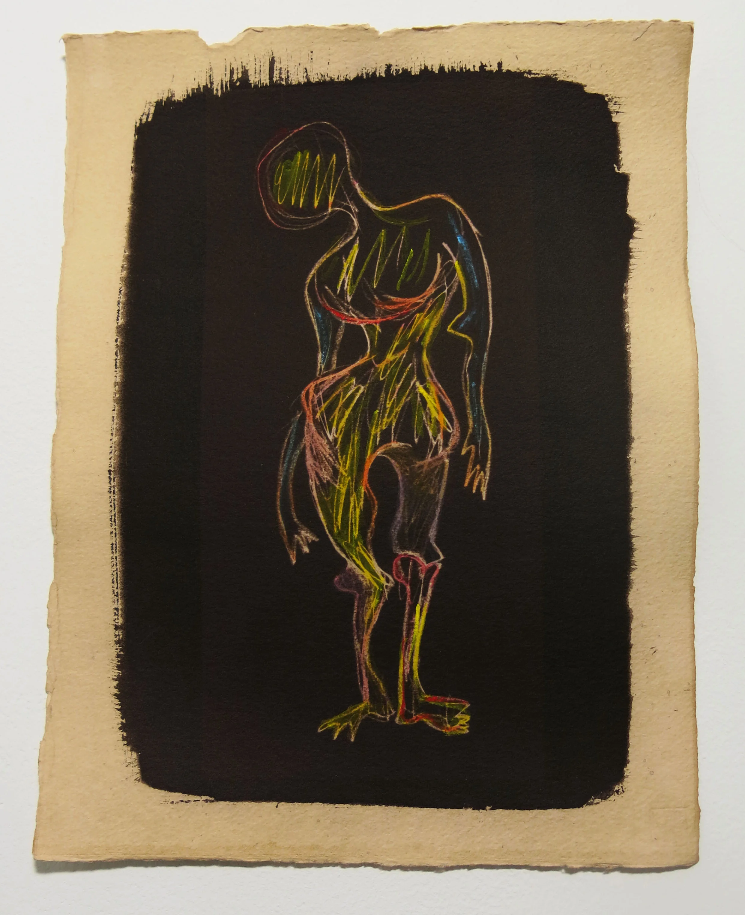   Toned Cyanotypes on Water Color paper with Gouache  