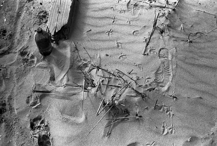Foot Steps On The Beach NYC, 2015