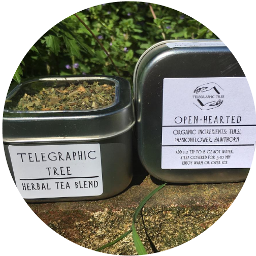 telegraphic-tree-medicinal-tea.png