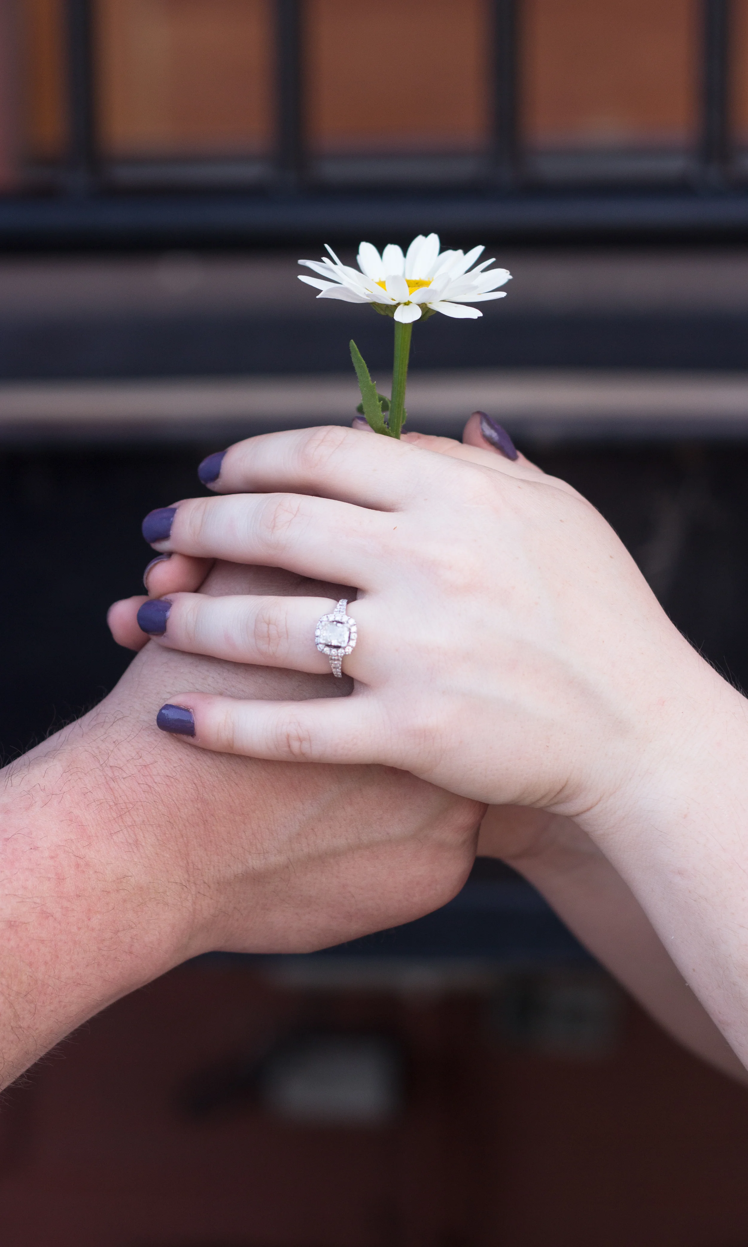 Ashlie&Chrispreview-8.jpg