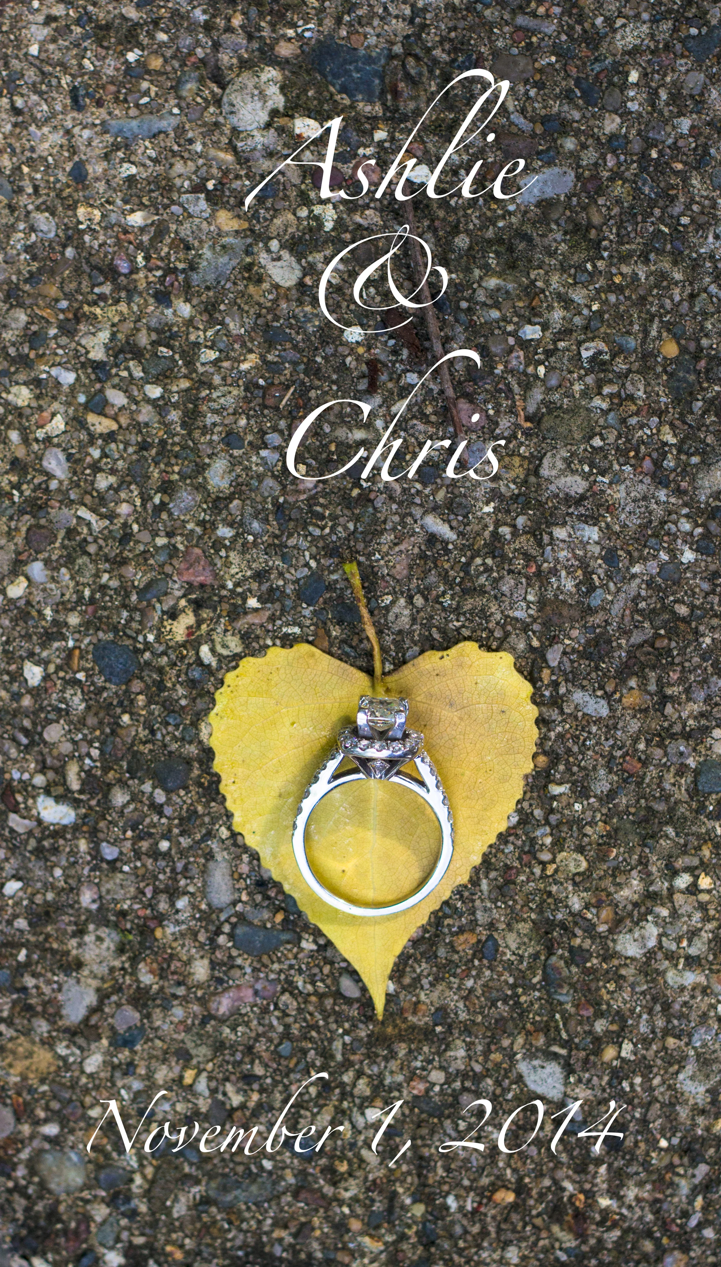 Ashlie&Chrispreview-11.jpg