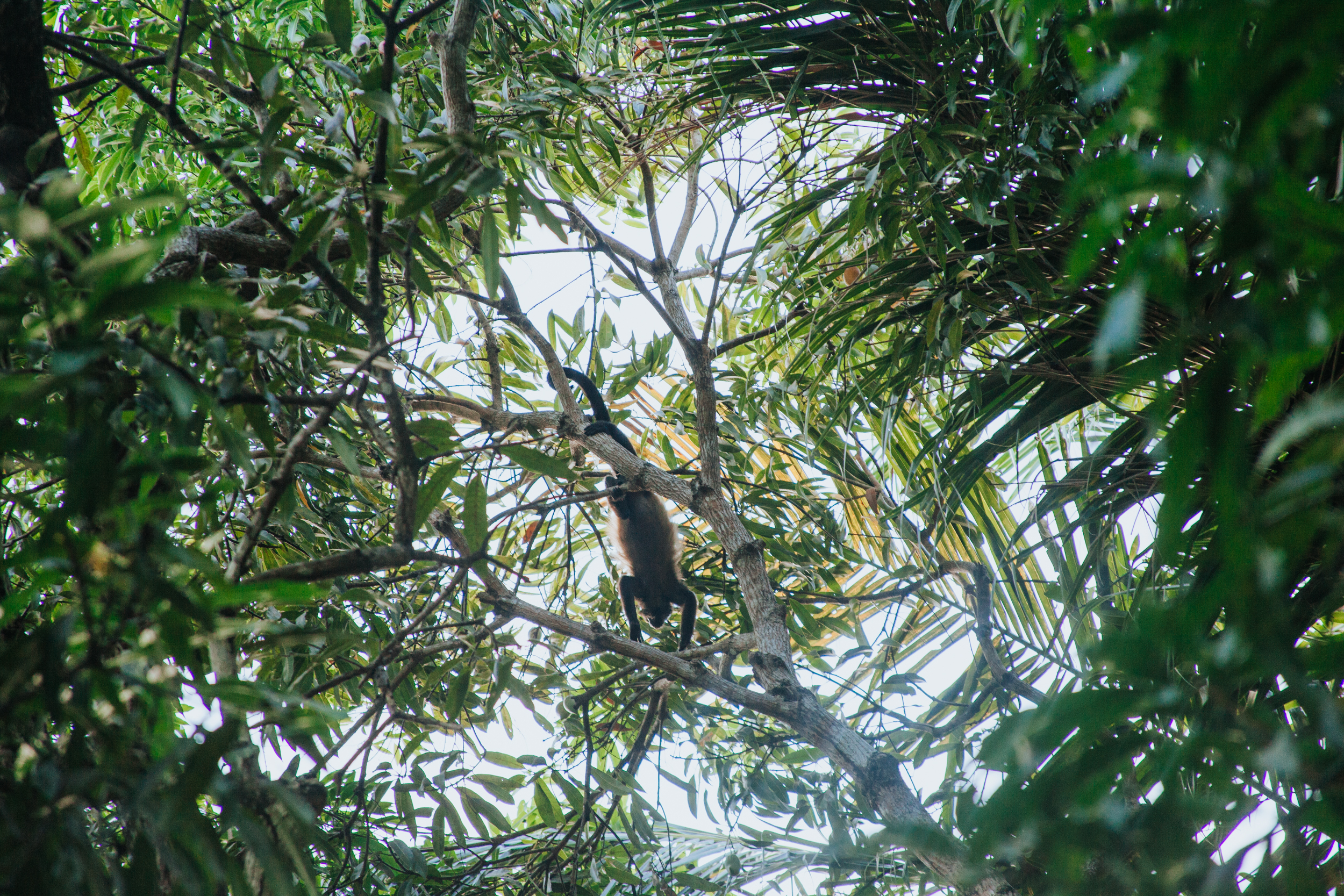 Blog_FavoriteVacation_CostaRica_April2017-44.jpg