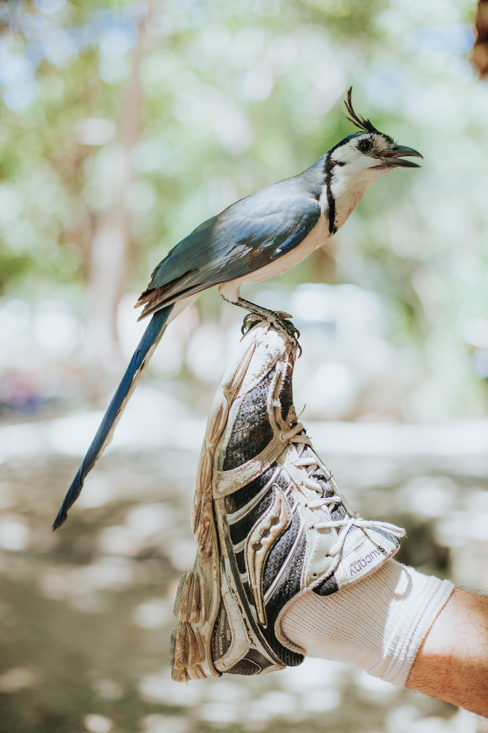 Blog_FavoriteVacation_CostaRica_April2017-78.jpg